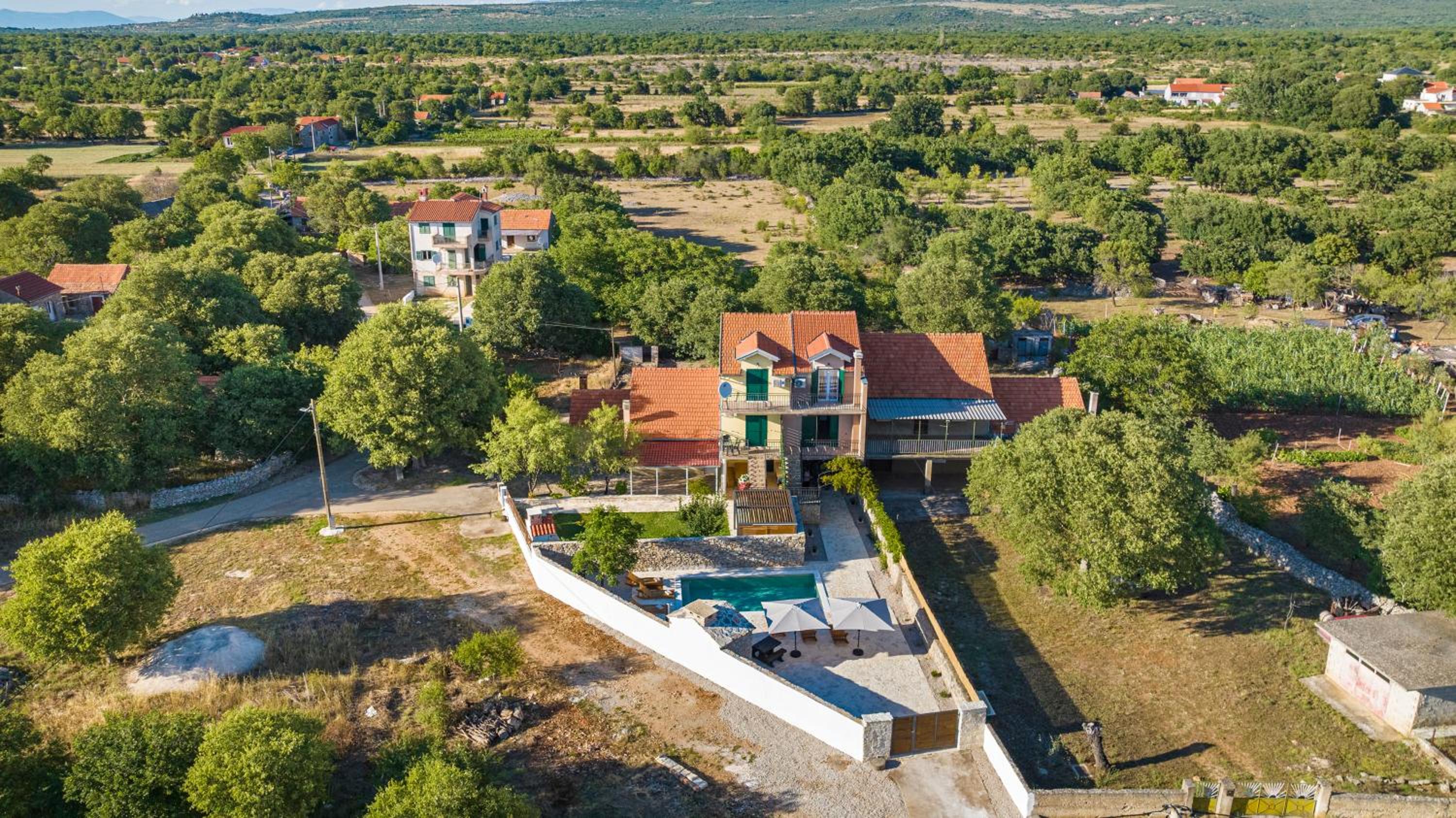 Hedonica house