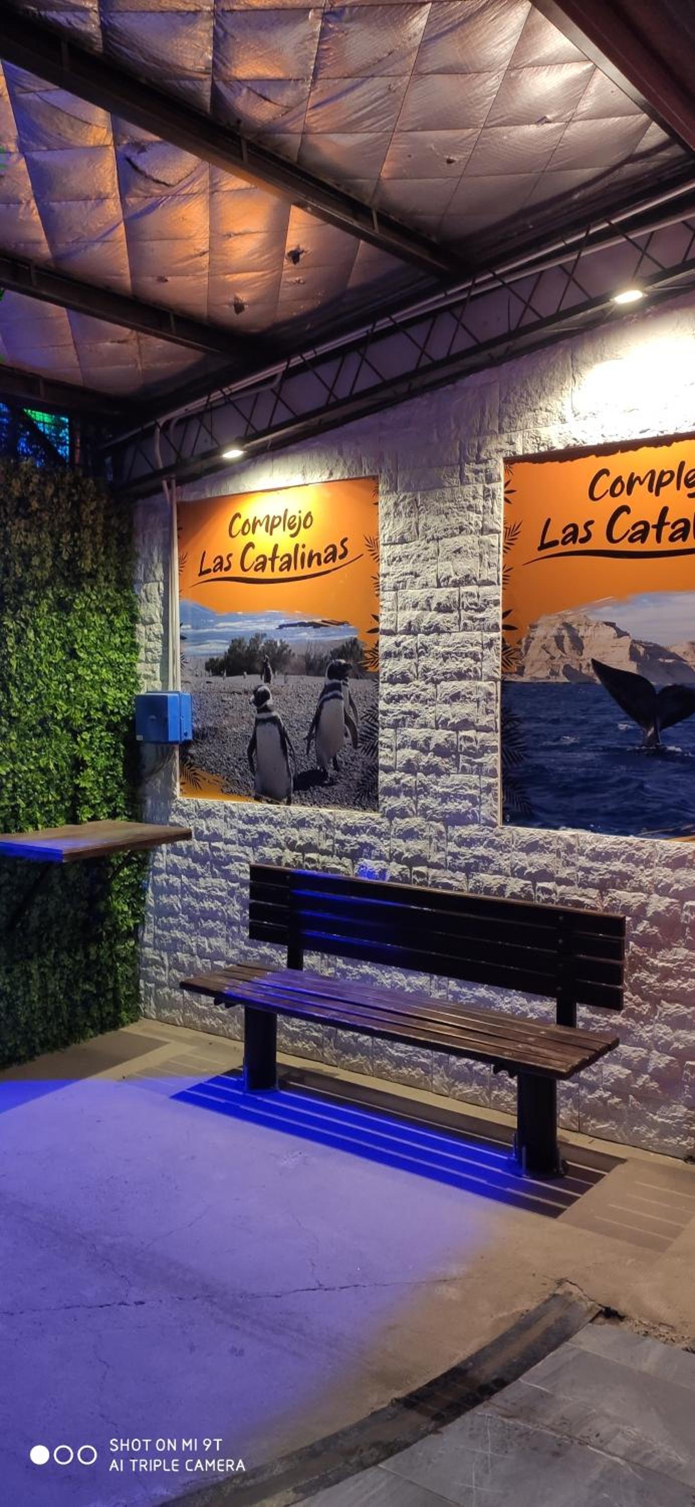 Complejo las Catalinas Dto 1 A