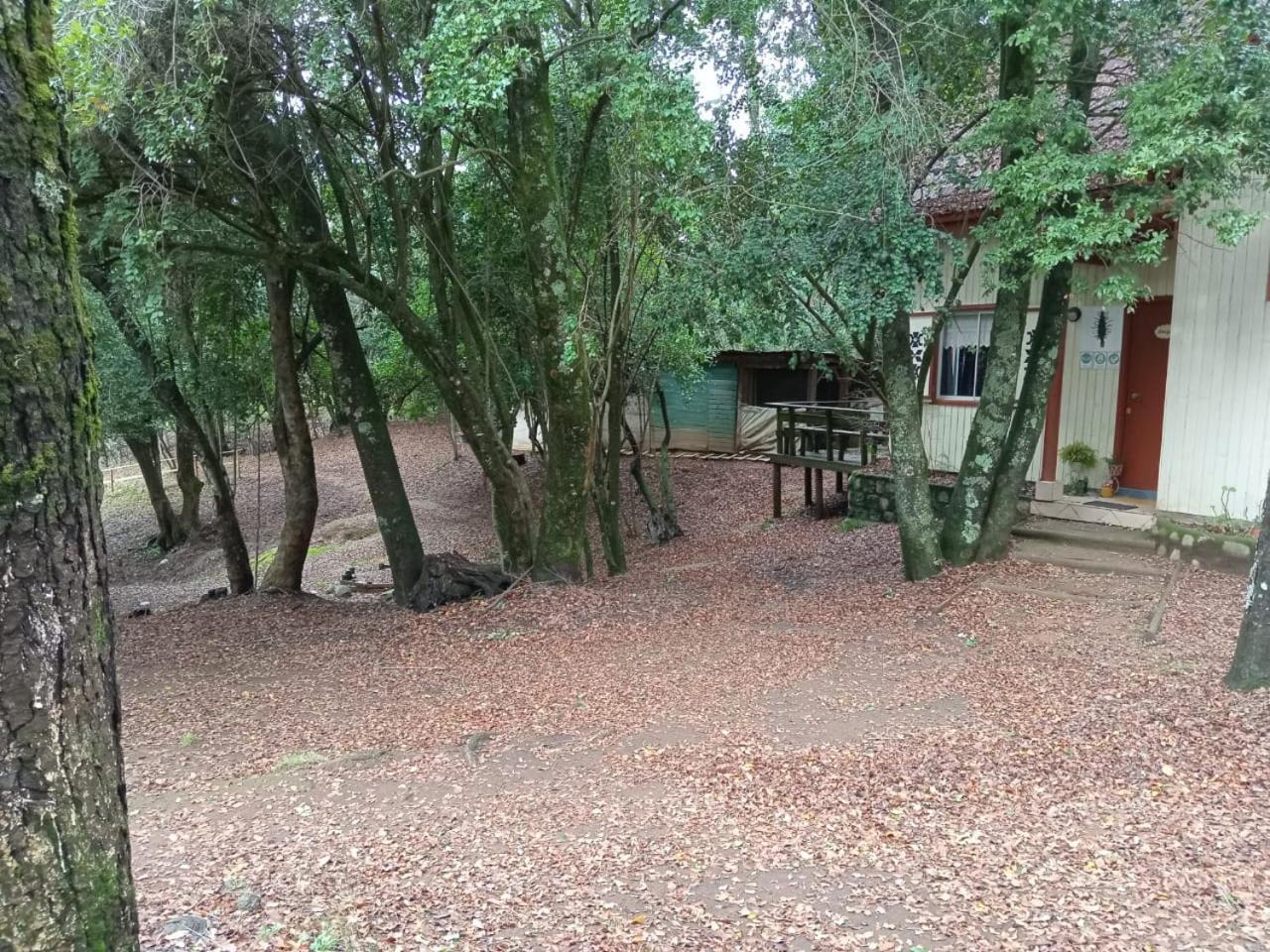 Cabañas La Leona