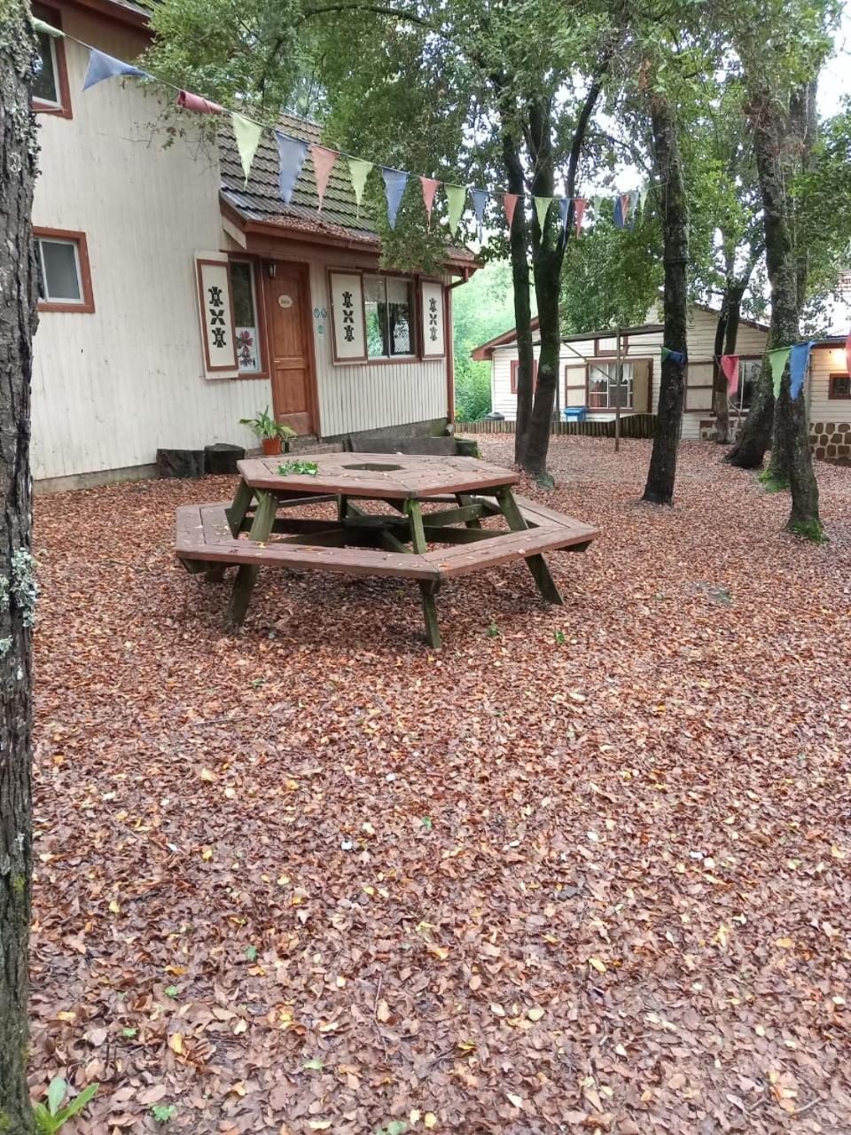 Cabañas La Leona