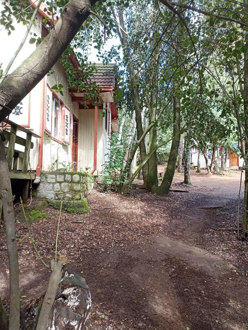 Cabañas La Leona