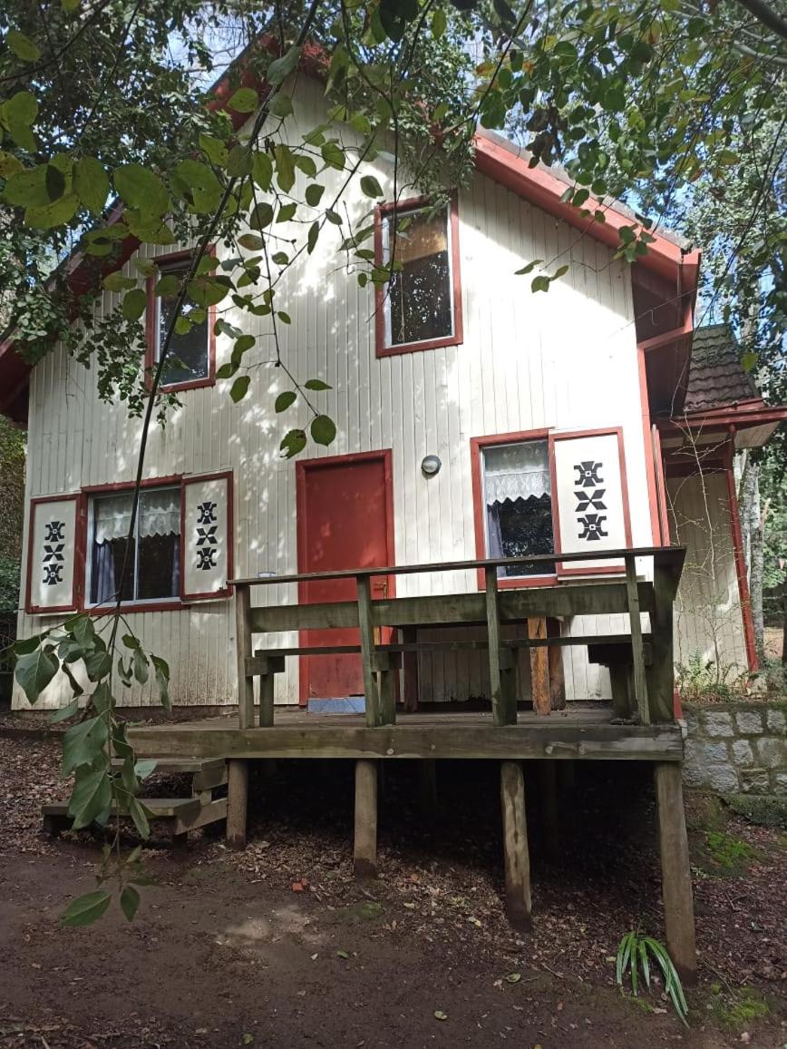 Cabañas La Leona