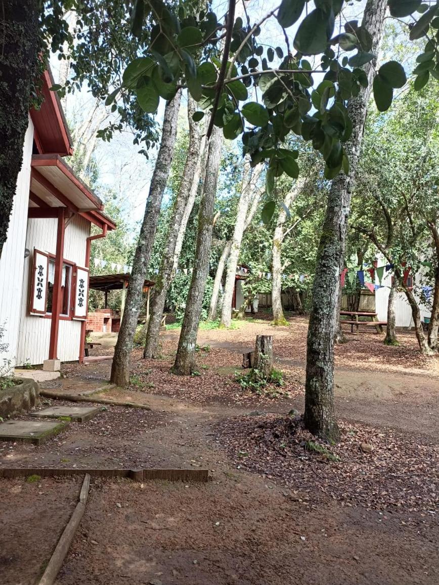 Cabañas La Leona