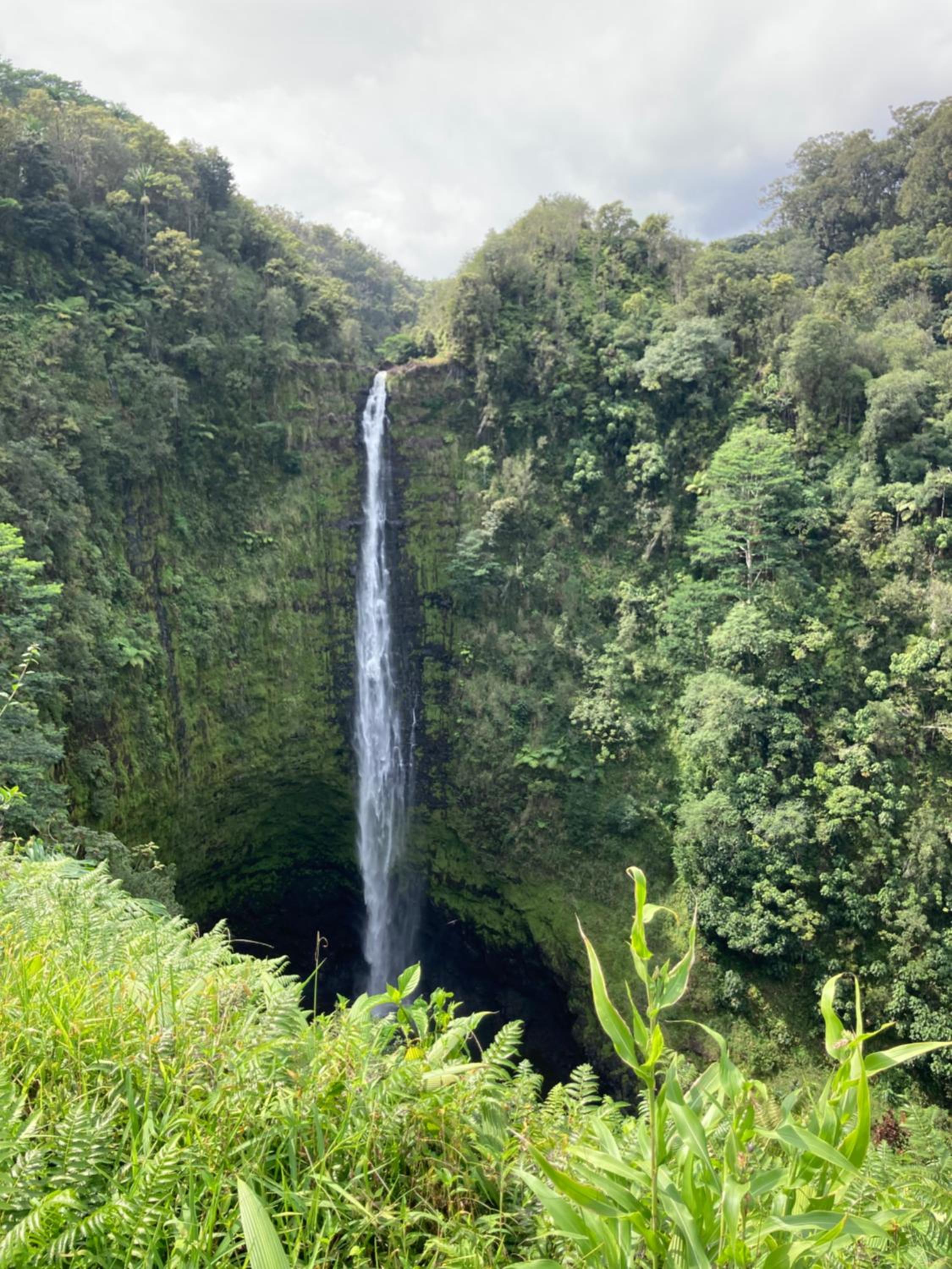 Hilo Bay Oceanfront Bed and Breakfast