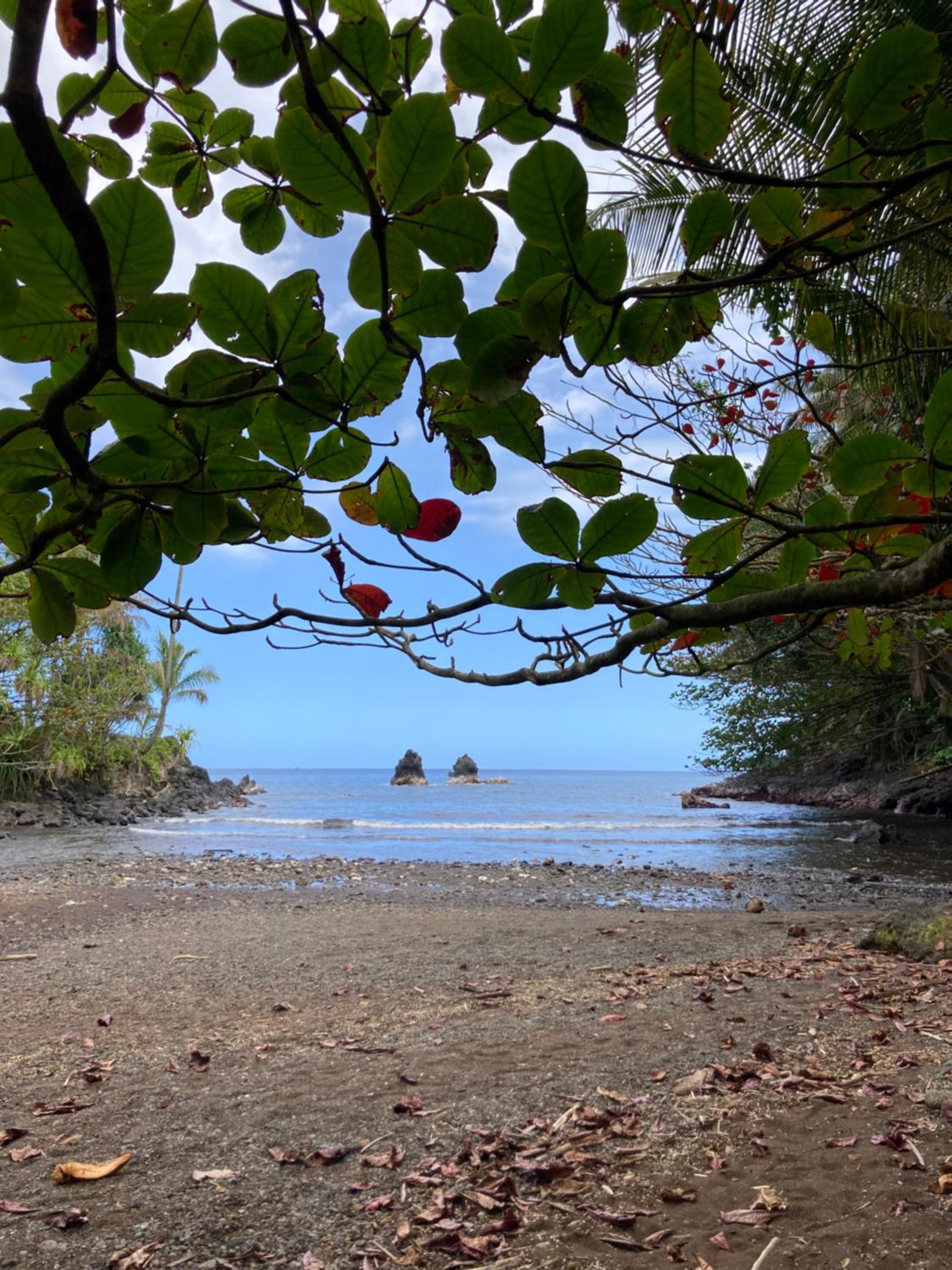Hilo Bay Oceanfront Bed and Breakfast