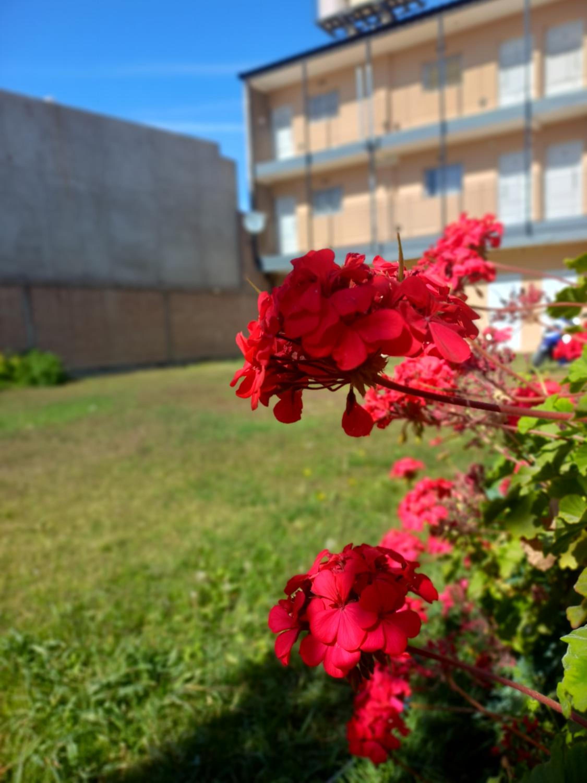 Departamentos Ríos del Neuquén