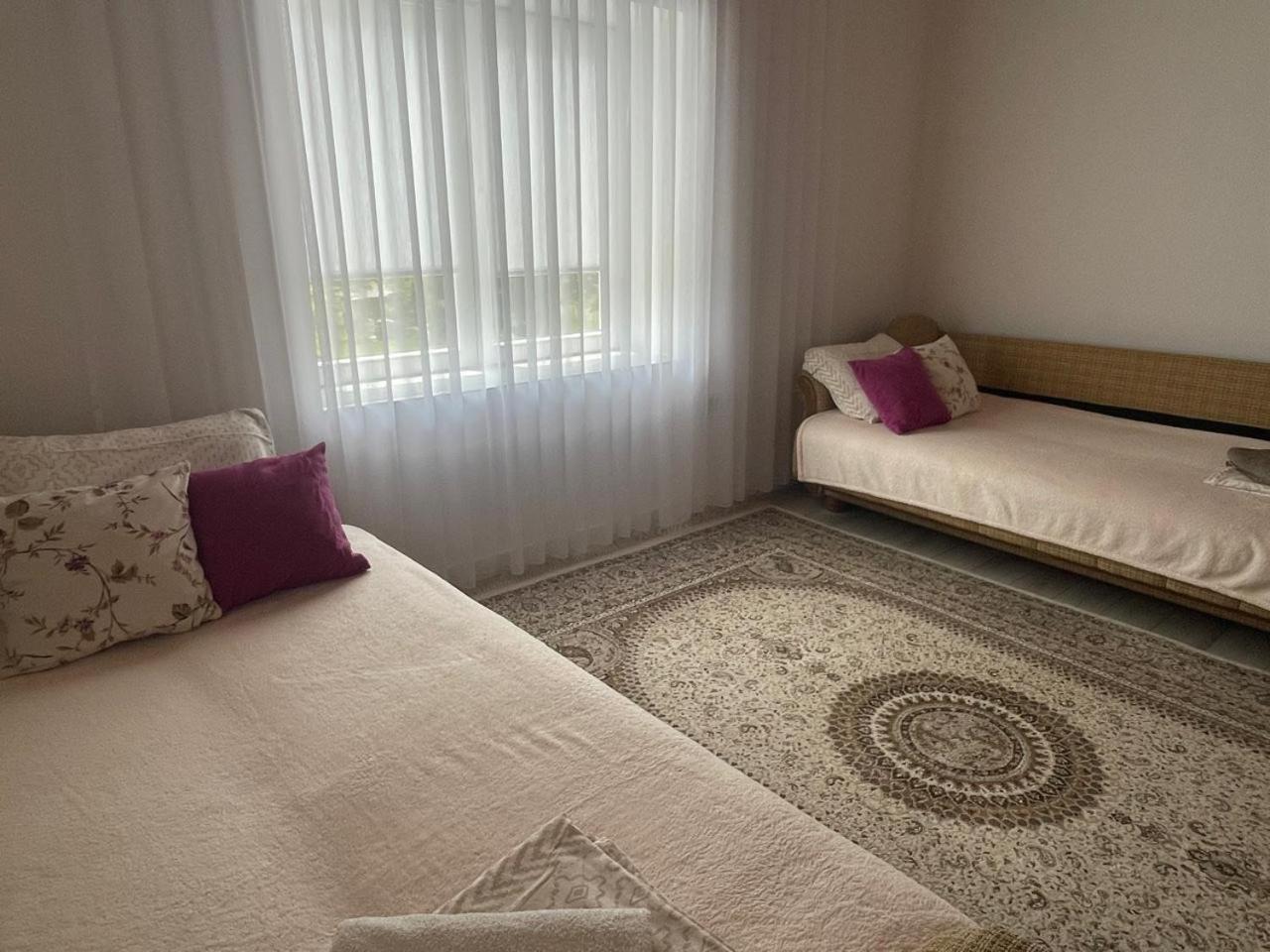 Plav`s dream view 4