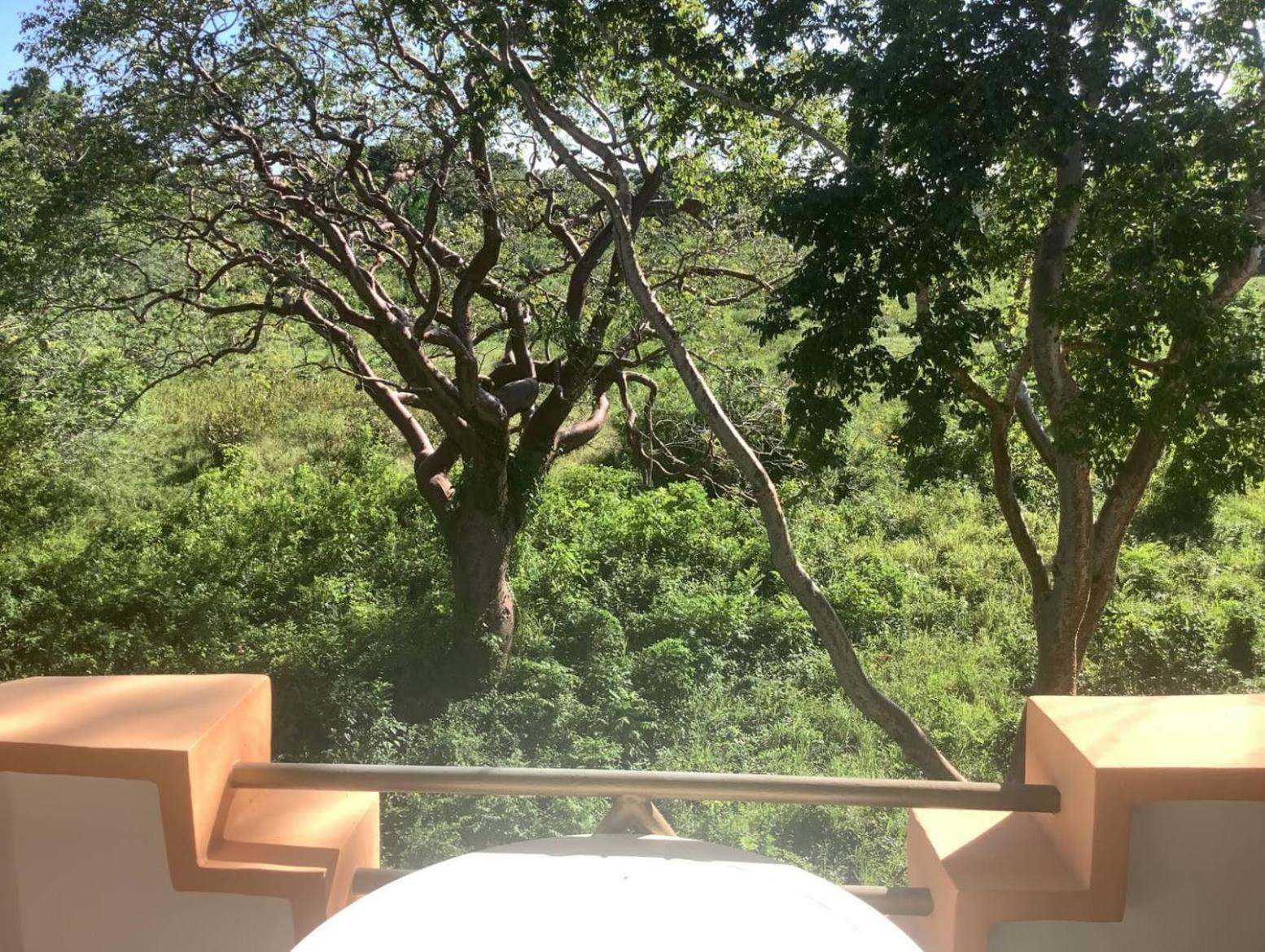 Quiet Breezy Countryside Suite