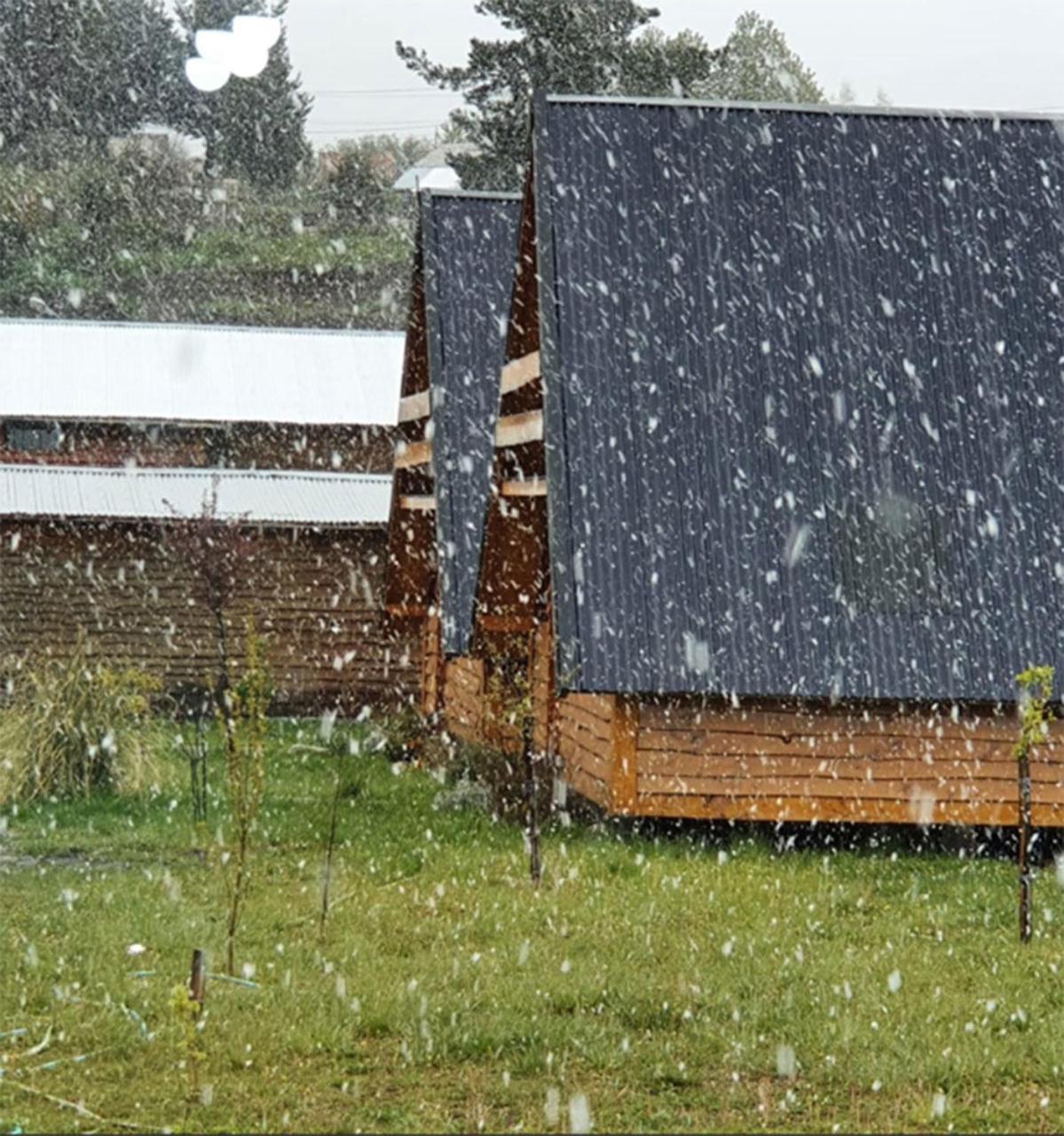 Radici Bariloche Chalhuaco