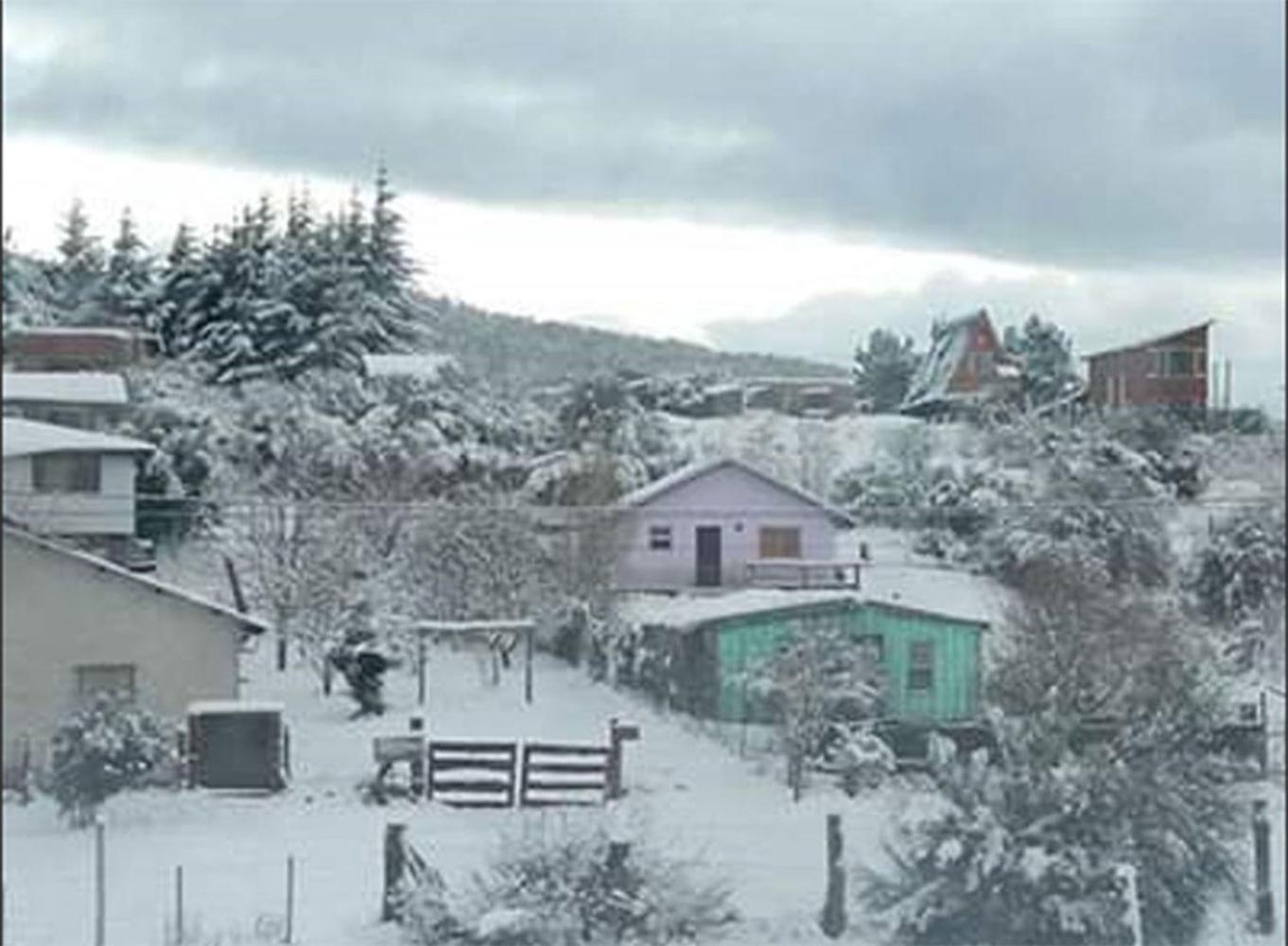 Radici Bariloche Chalhuaco