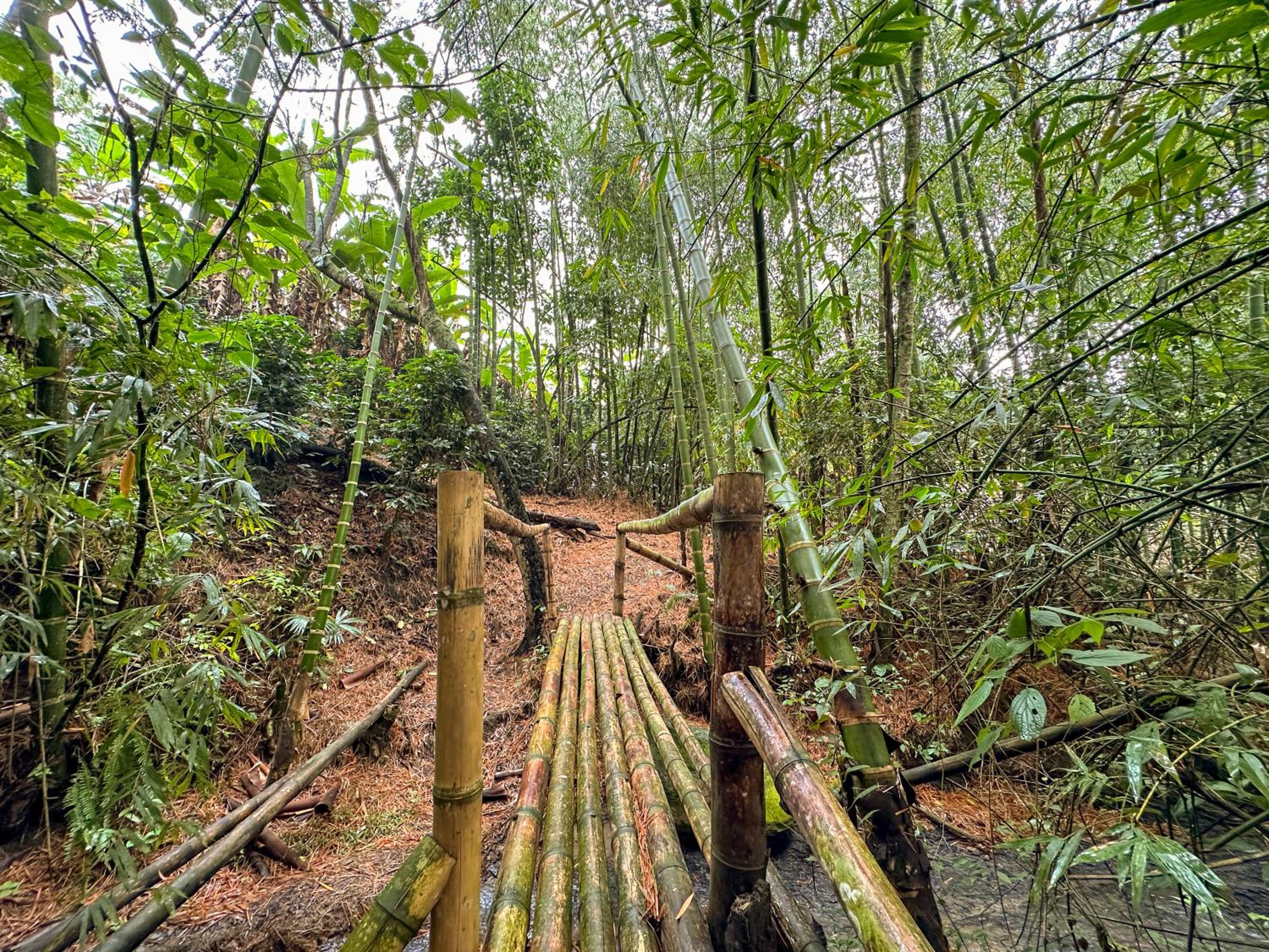 El Nido Andino