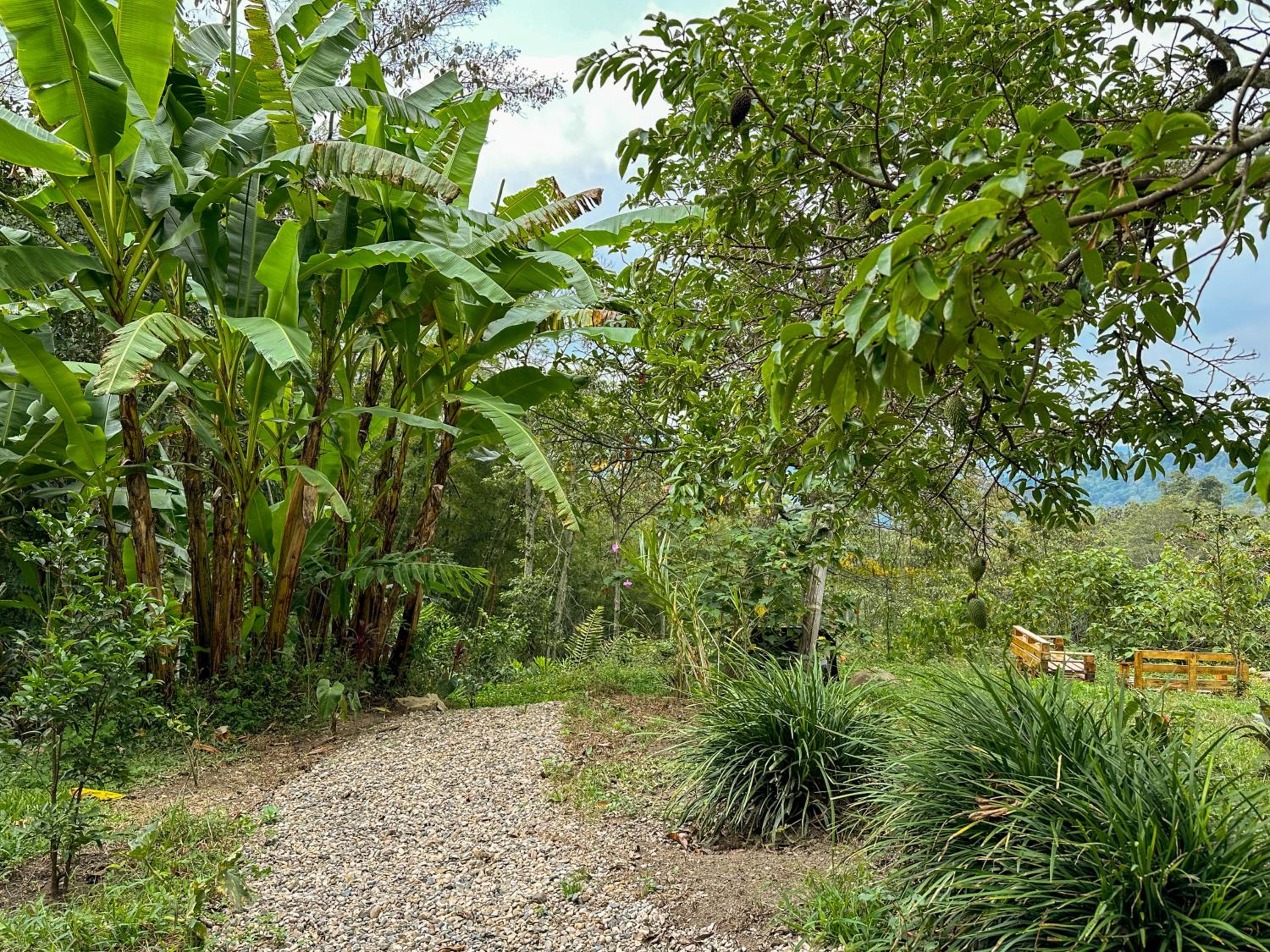 El Nido Andino