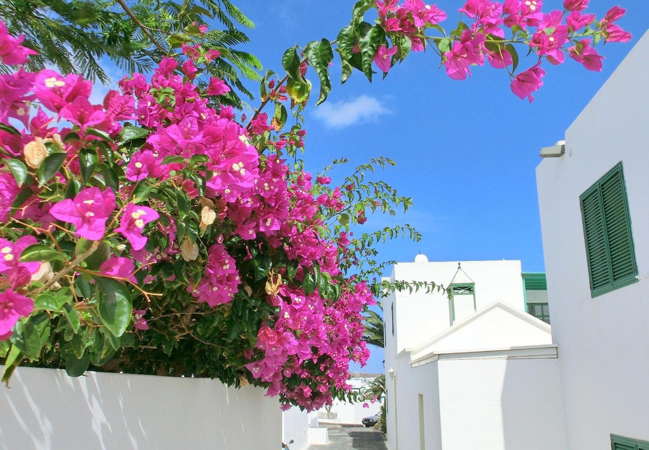 Villas Puerto Rubicon
