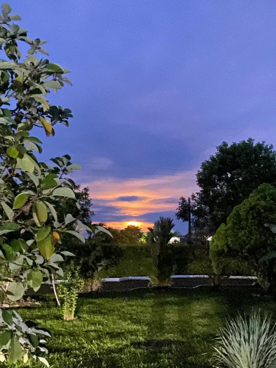 Finca Hacienda el Morichal