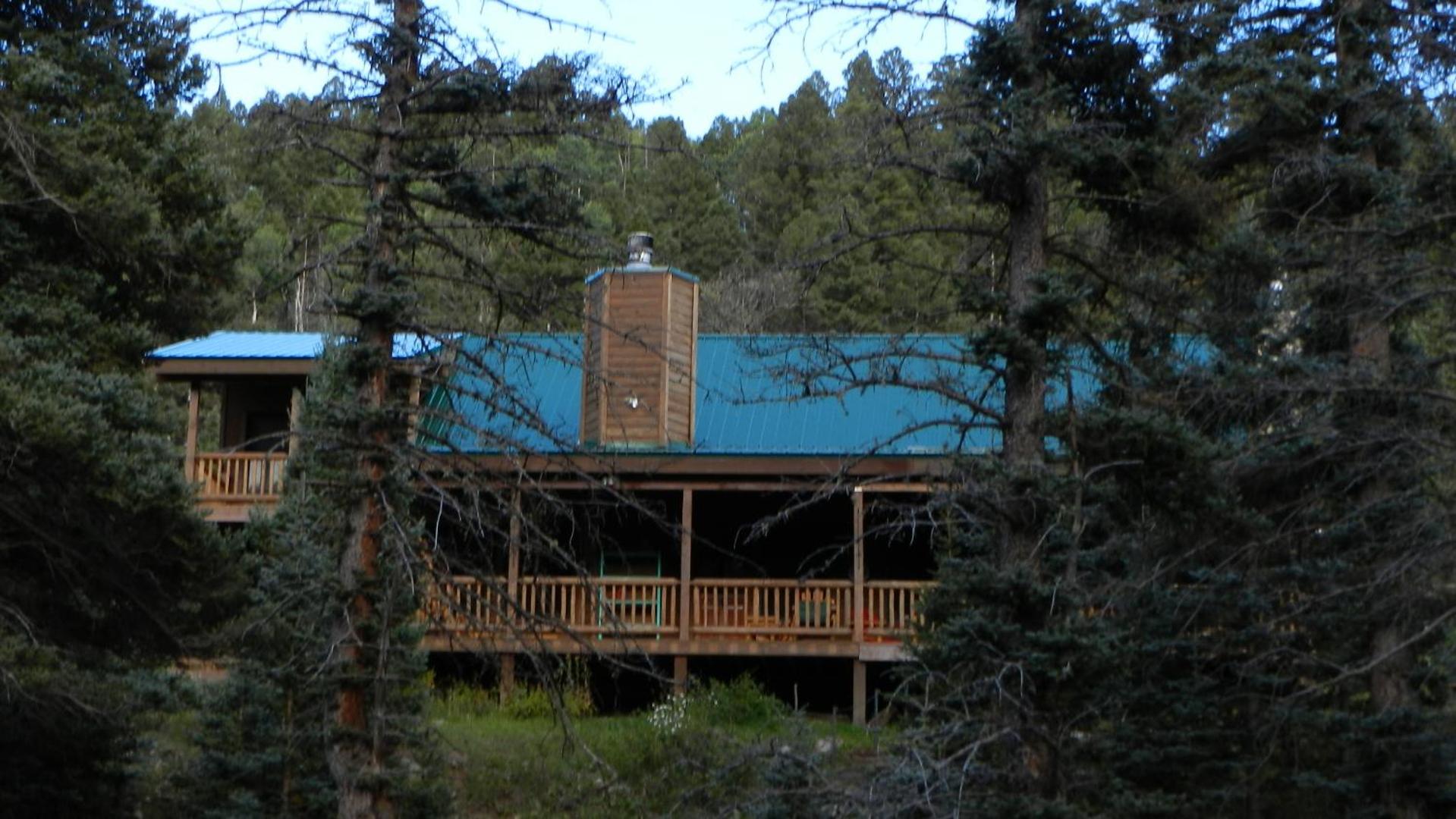 Photo 12