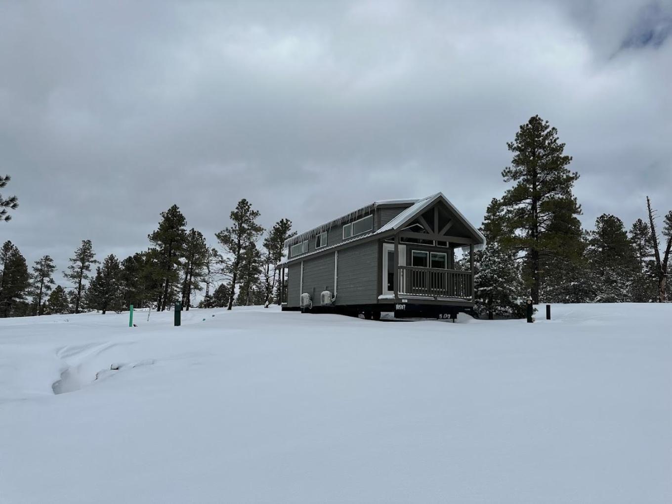 Cozy Cabin By Forest View 5B view 2