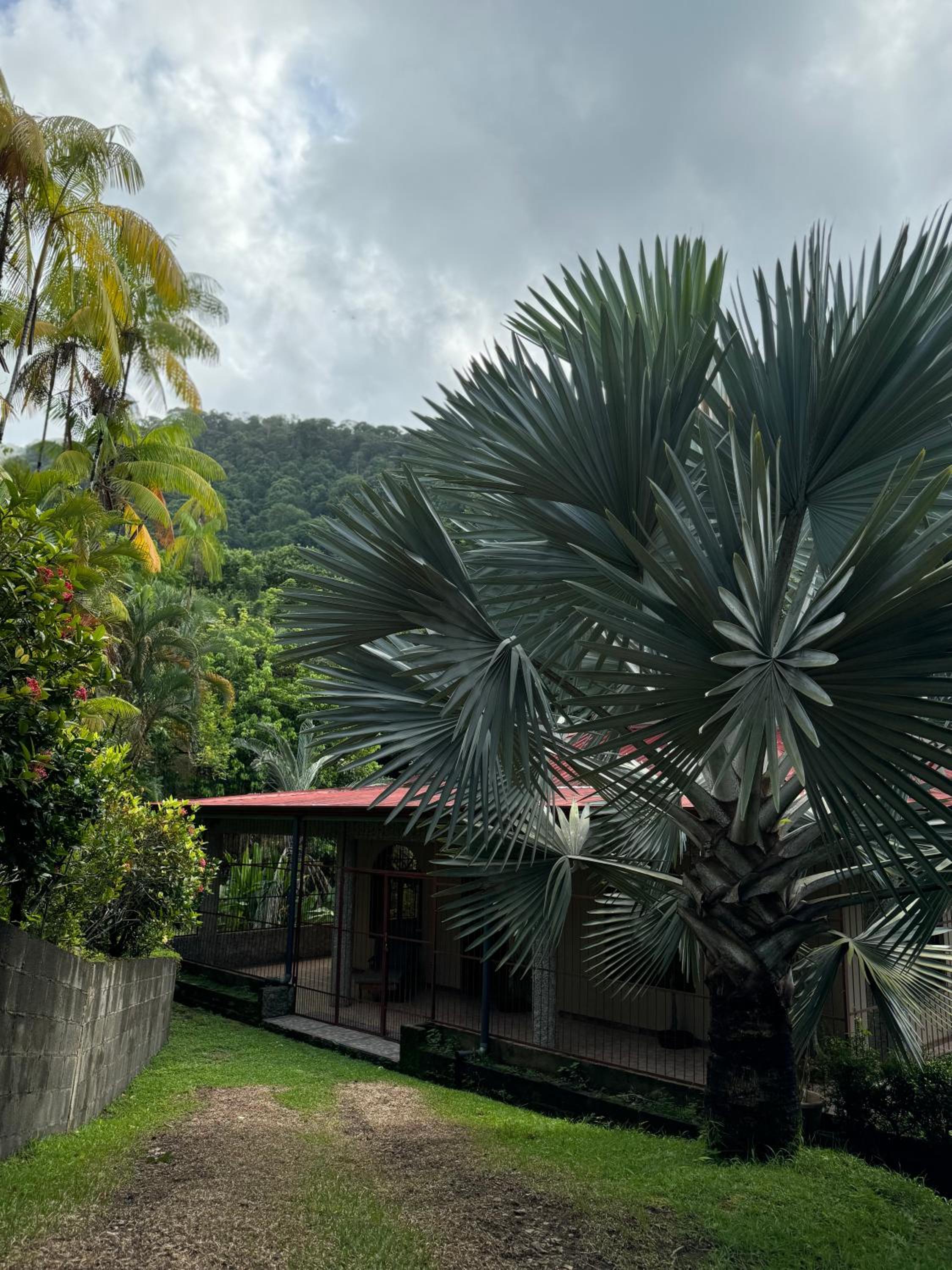 Casa Selvática