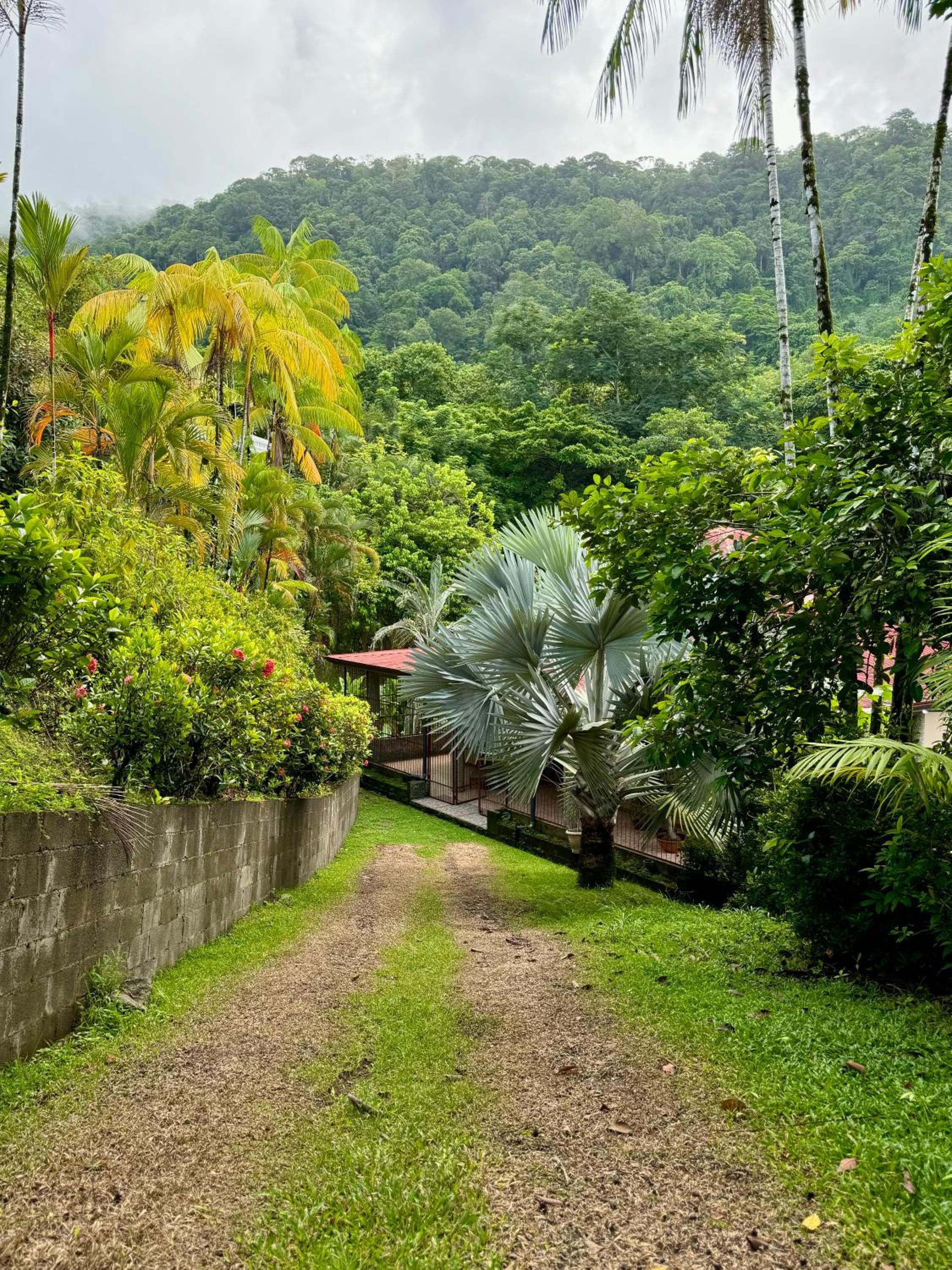 Casa Selvática