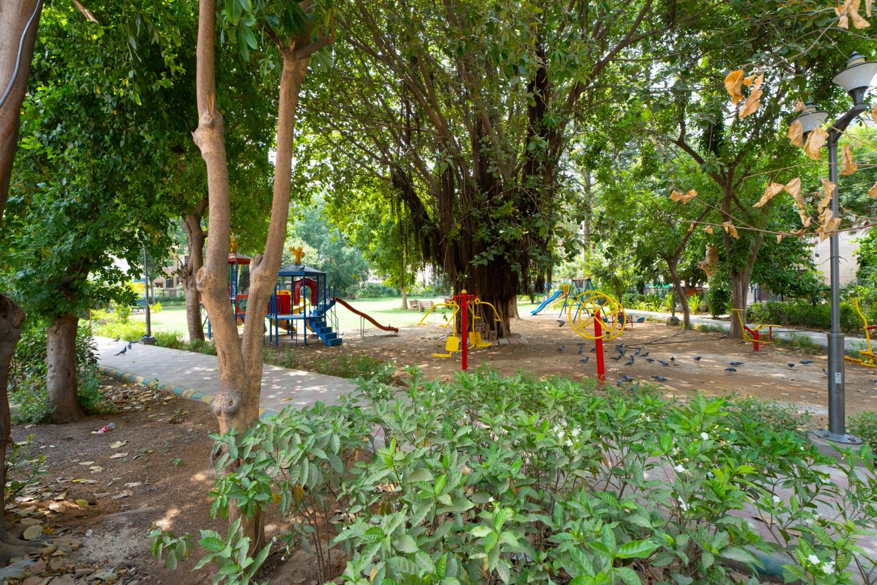 Photo 25