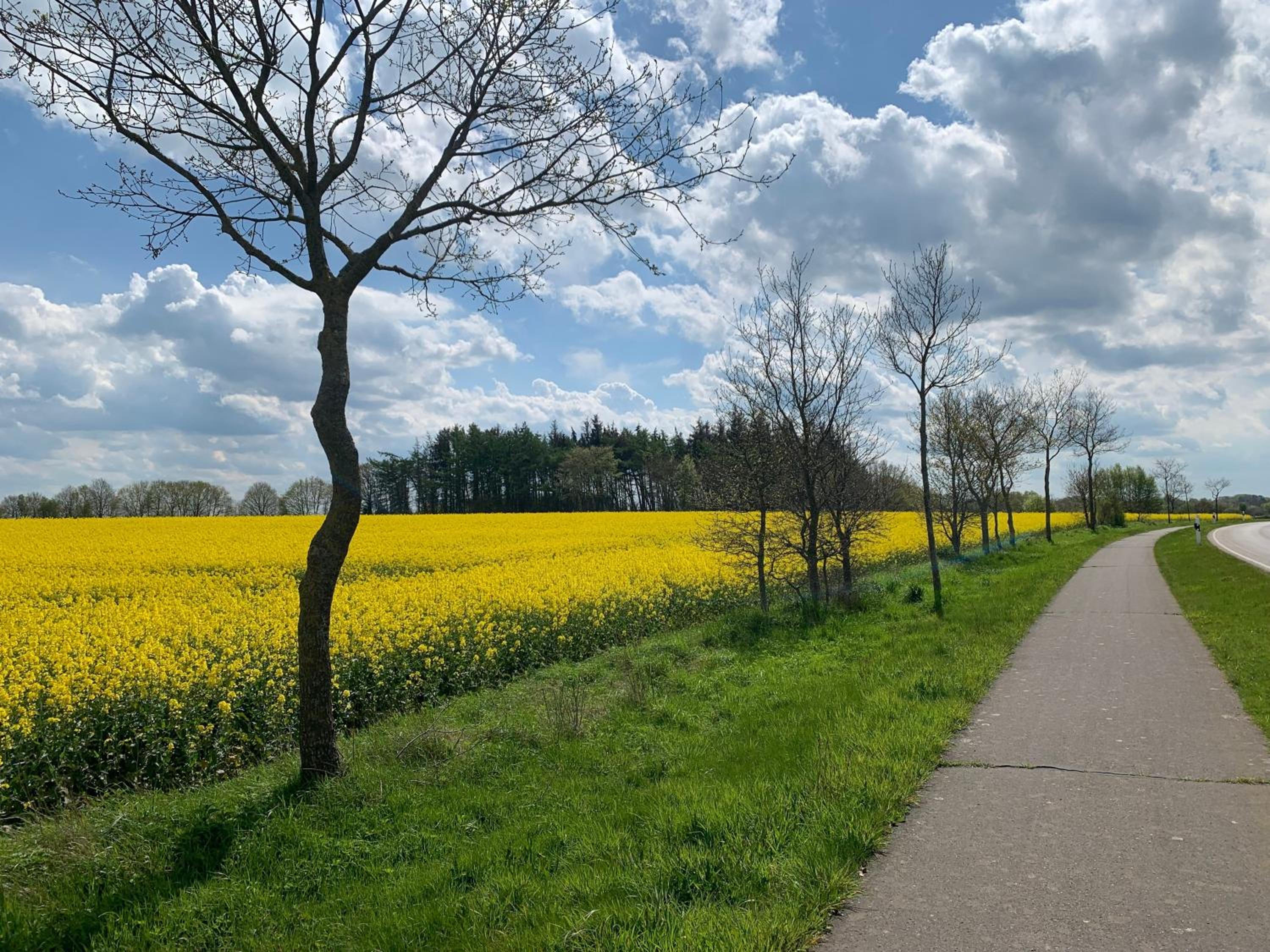 Ferienwohnung Eiderwiese