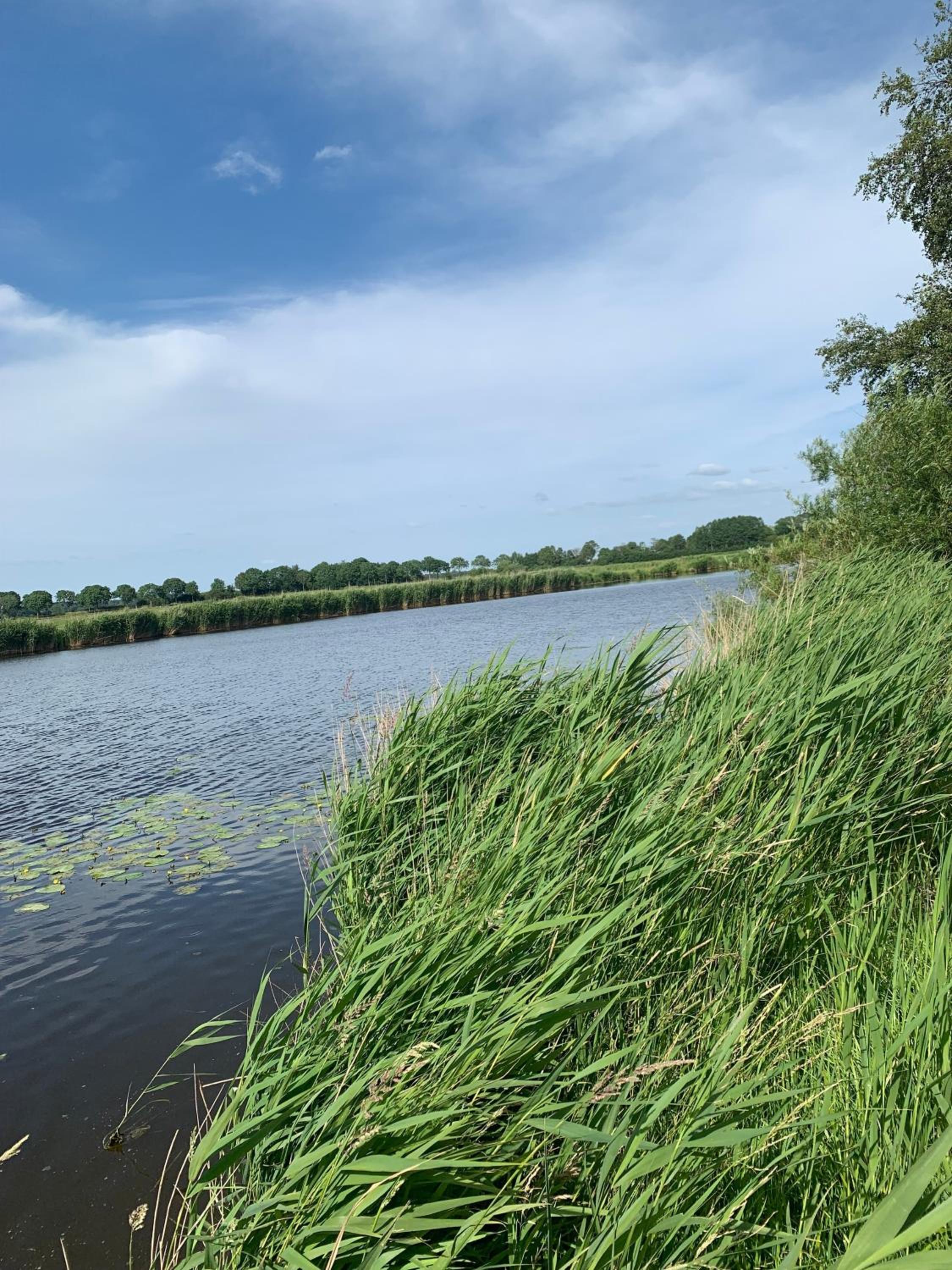 Ferienwohnung Eiderwiese