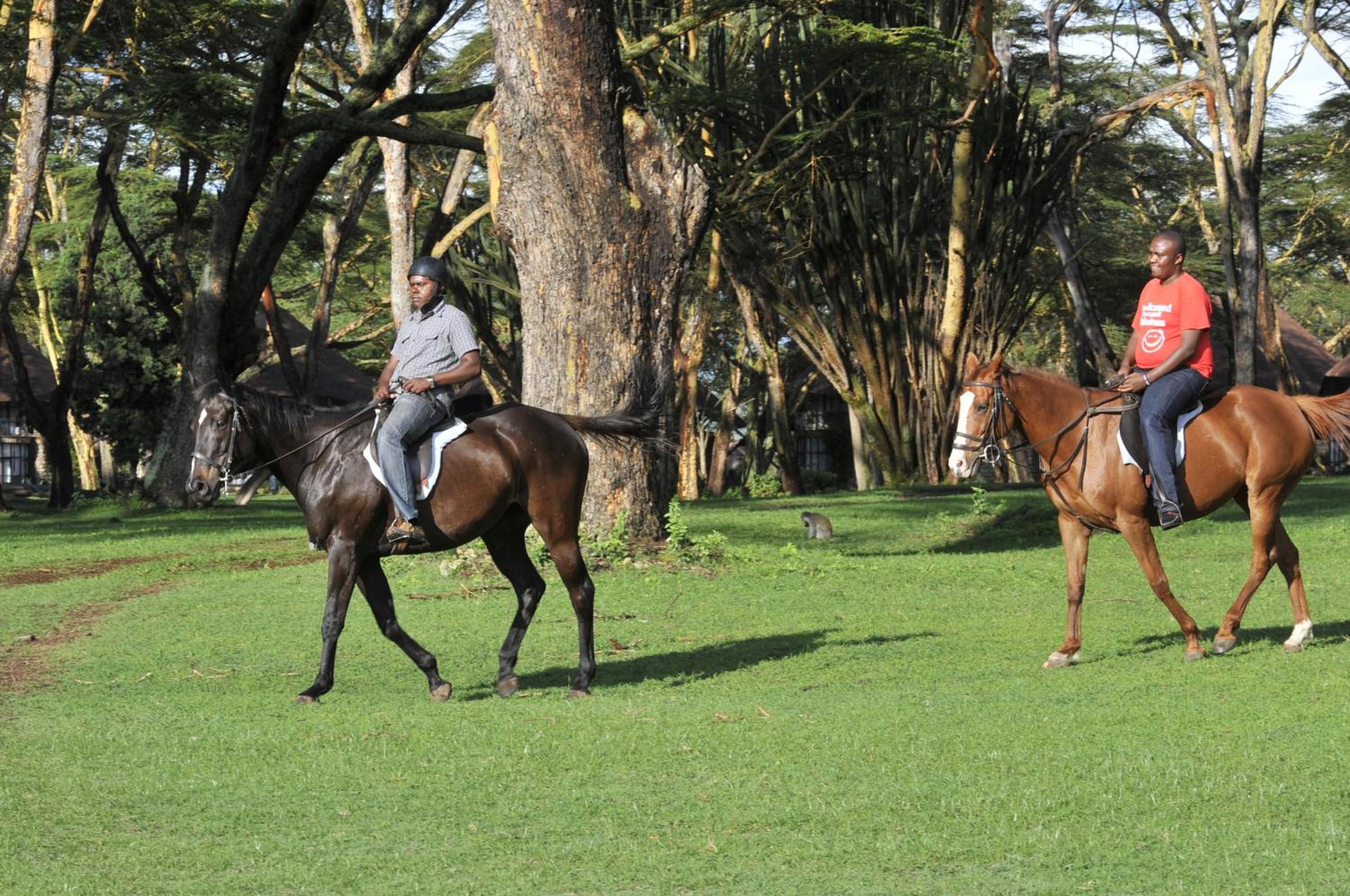 Lake Naivasha Sopa Resort
