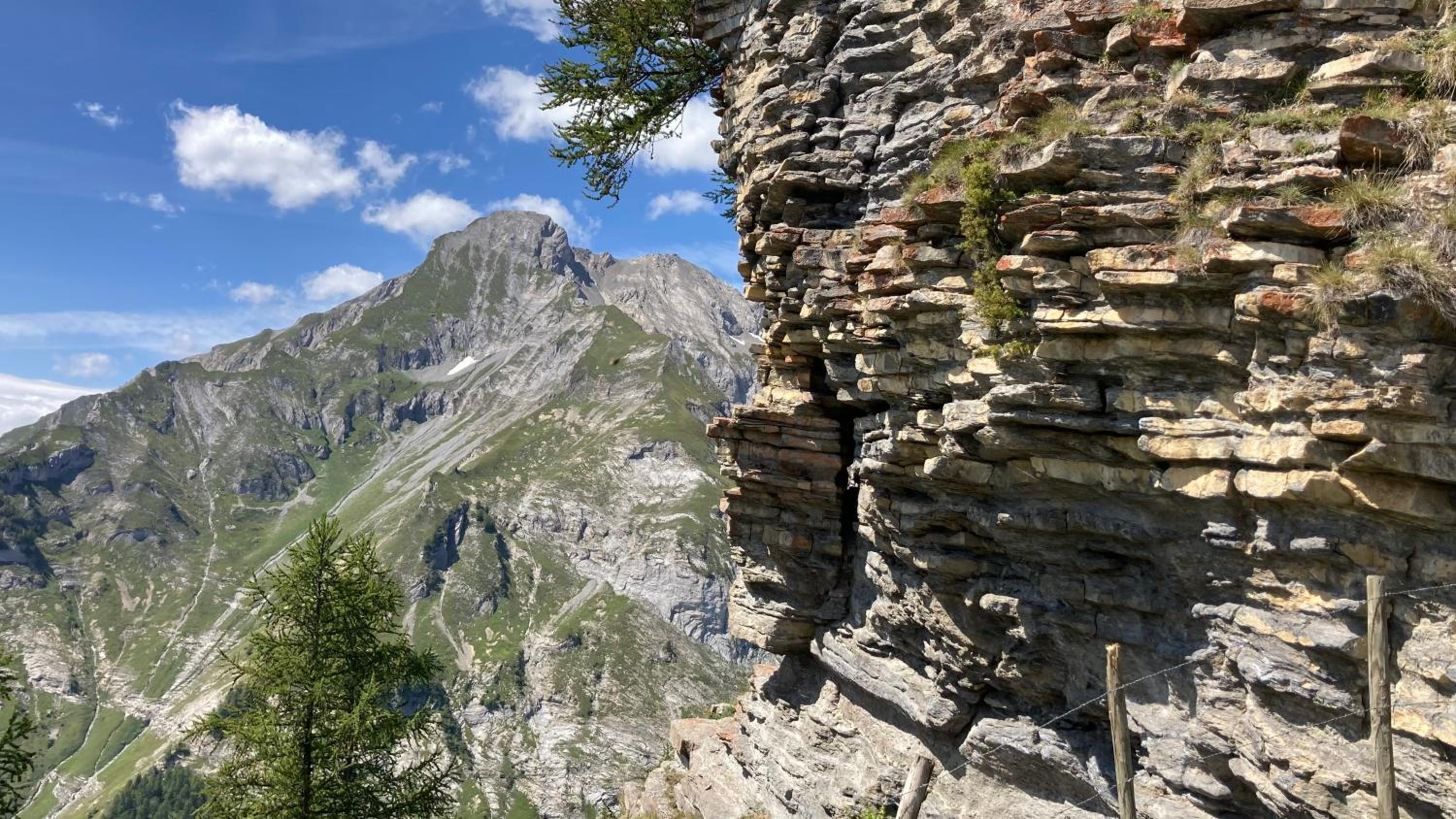 Le Lézard et la Grenouille BnB