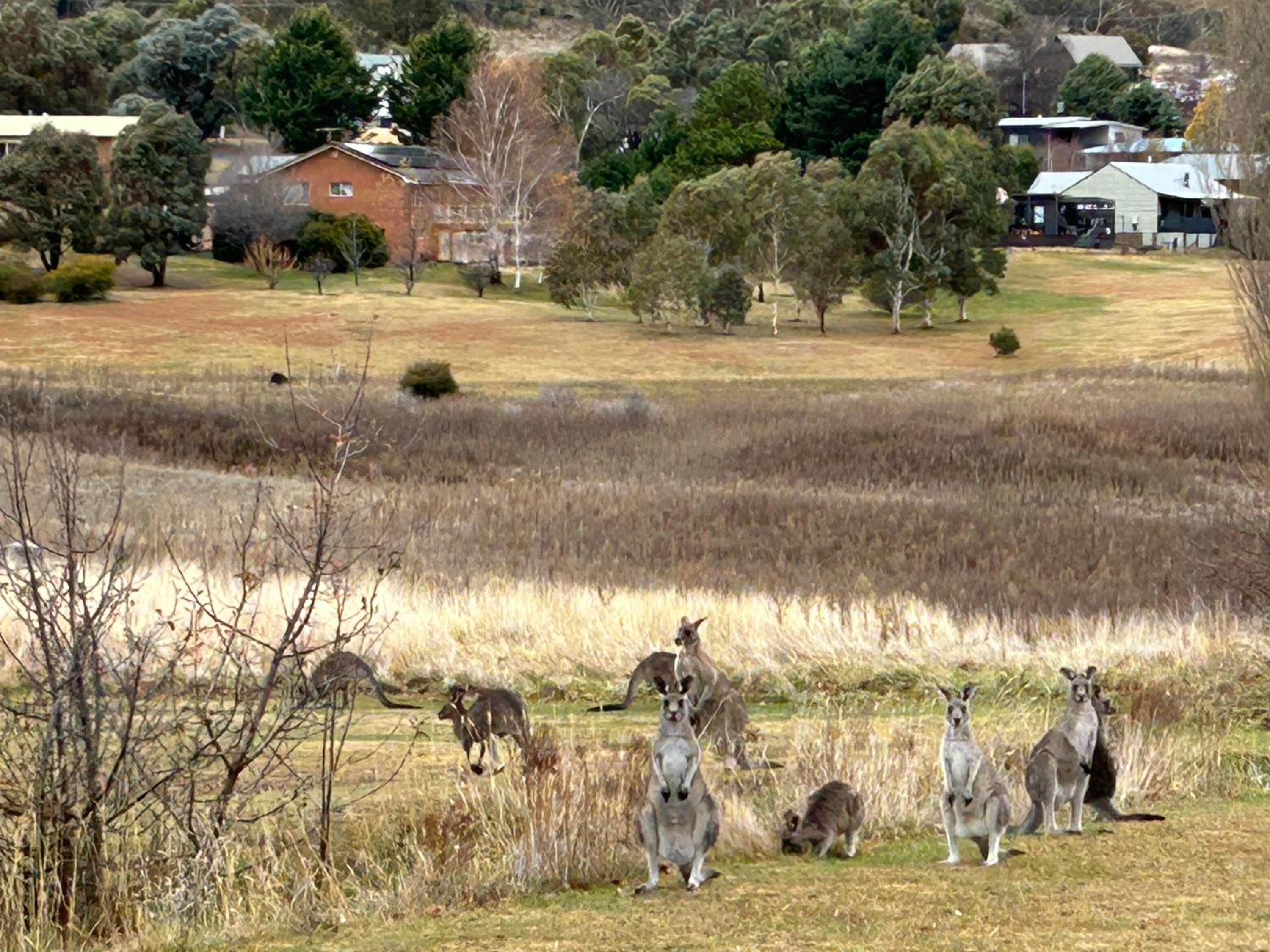 Lake Jindabyne Lodge