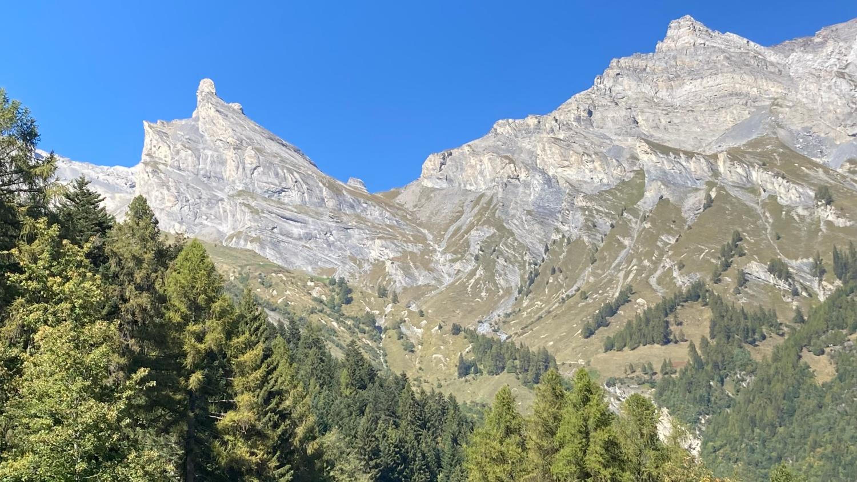 Le Lézard et la Grenouille BnB