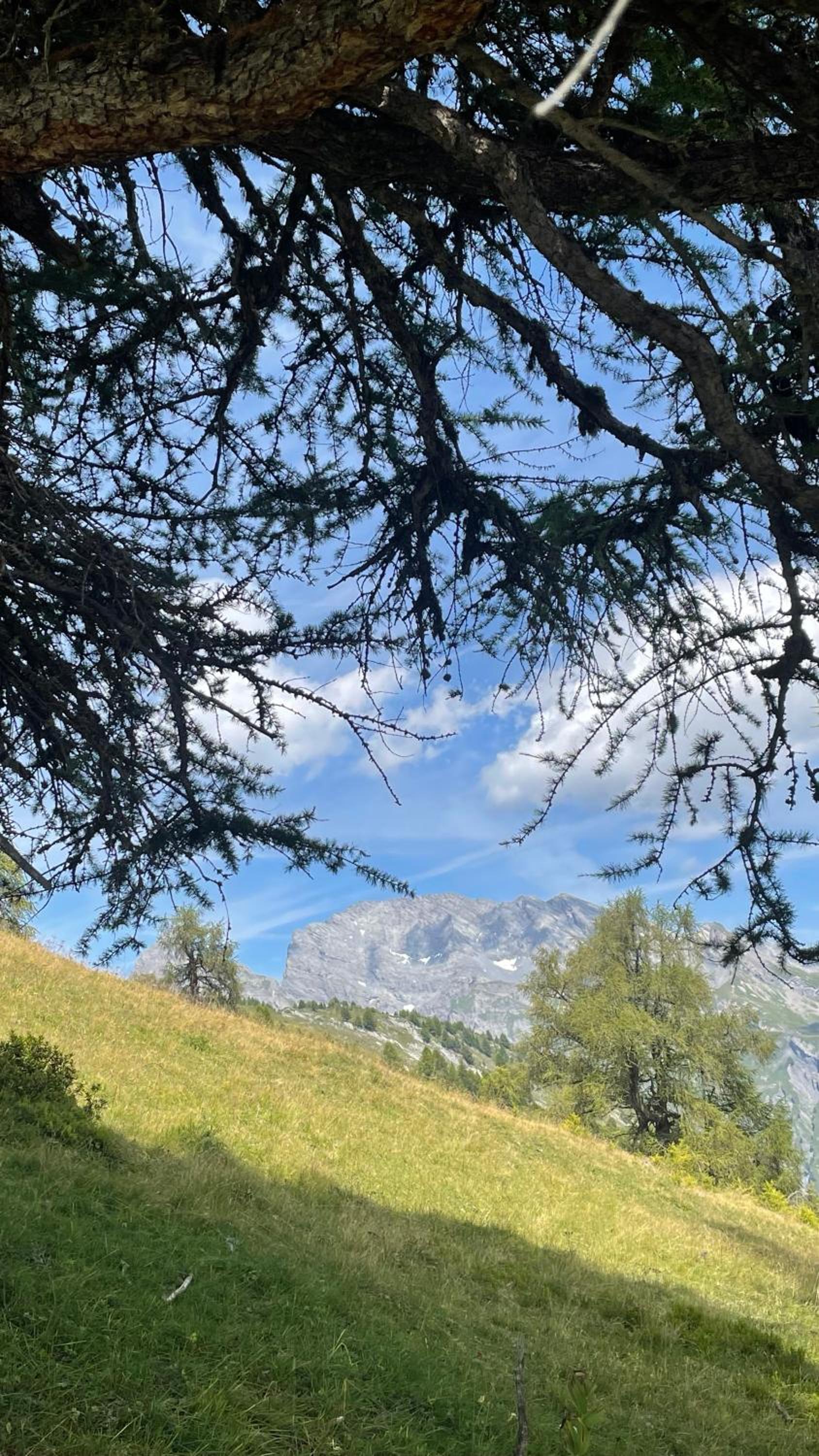 Le Lézard et la Grenouille BnB
