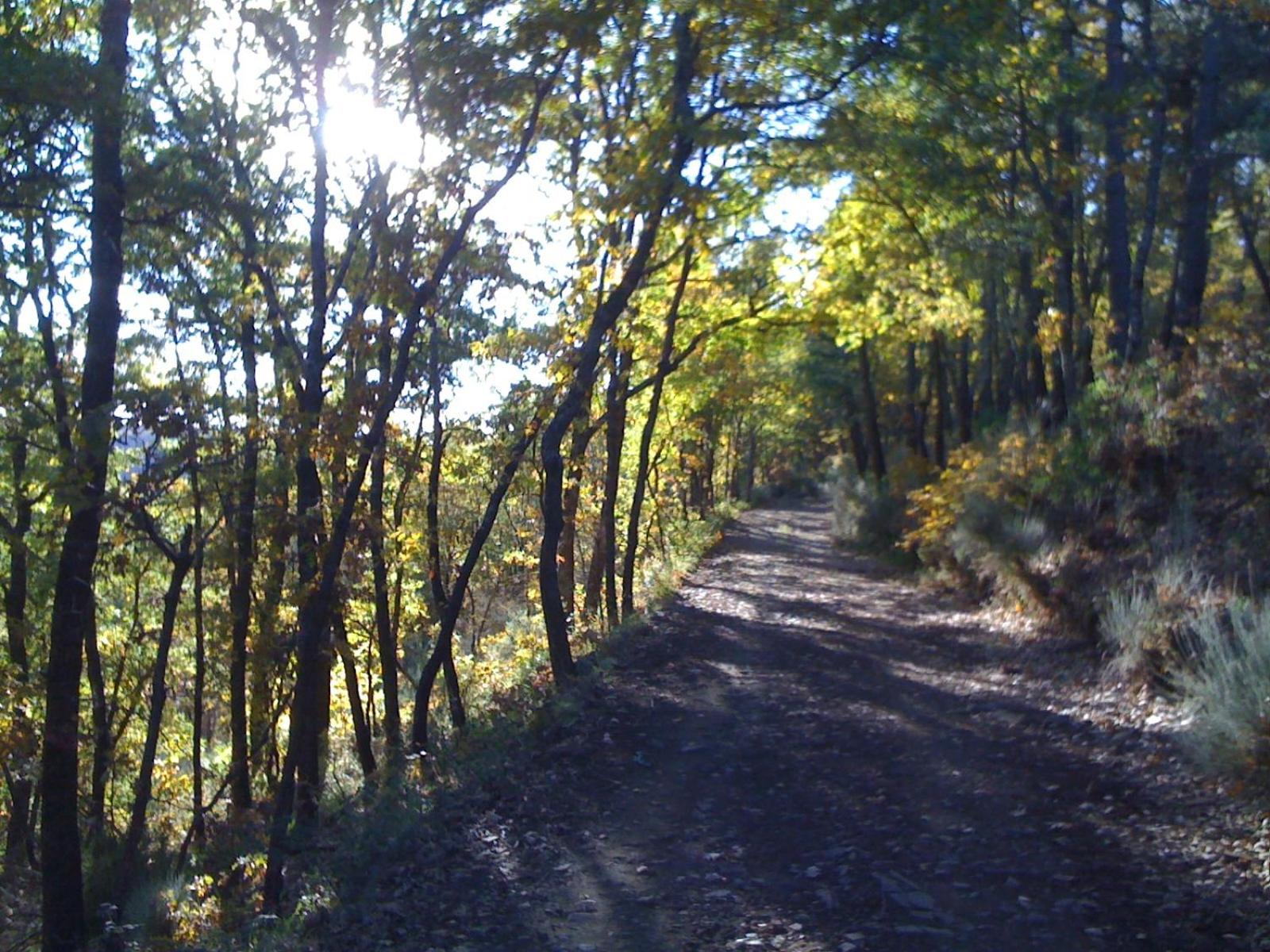 Photo 24
