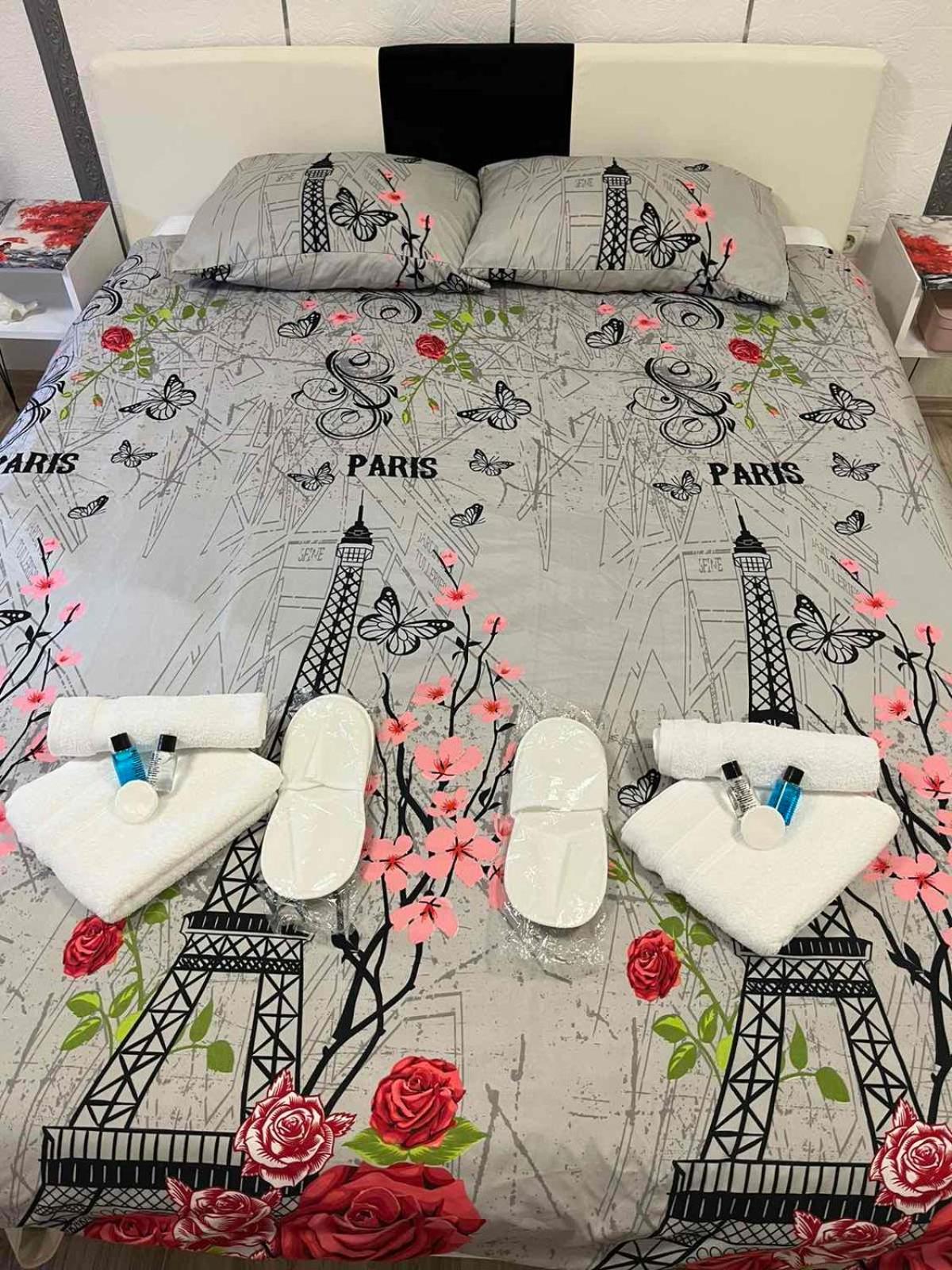 Apartman "Paris" view 4