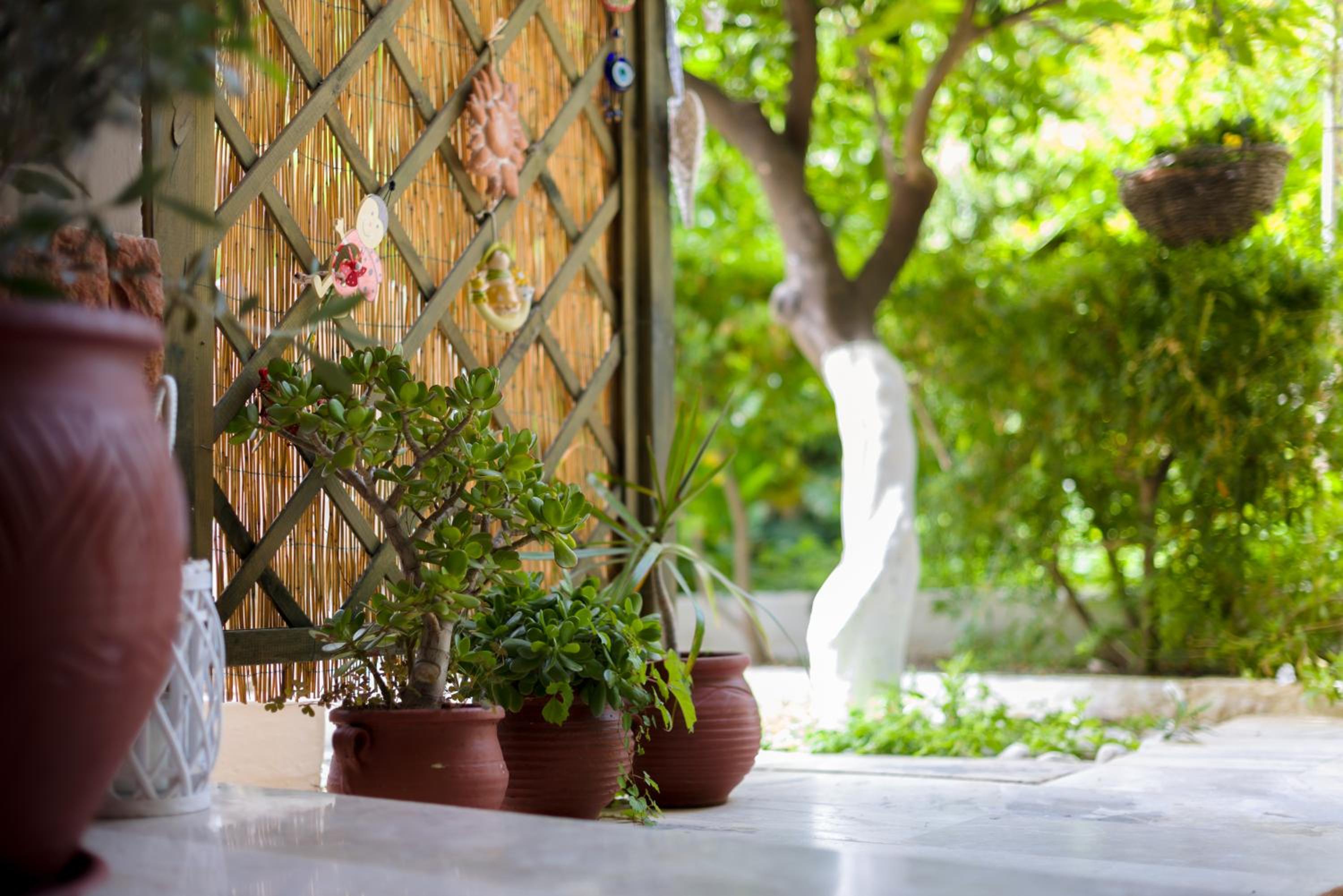 Oasis Home