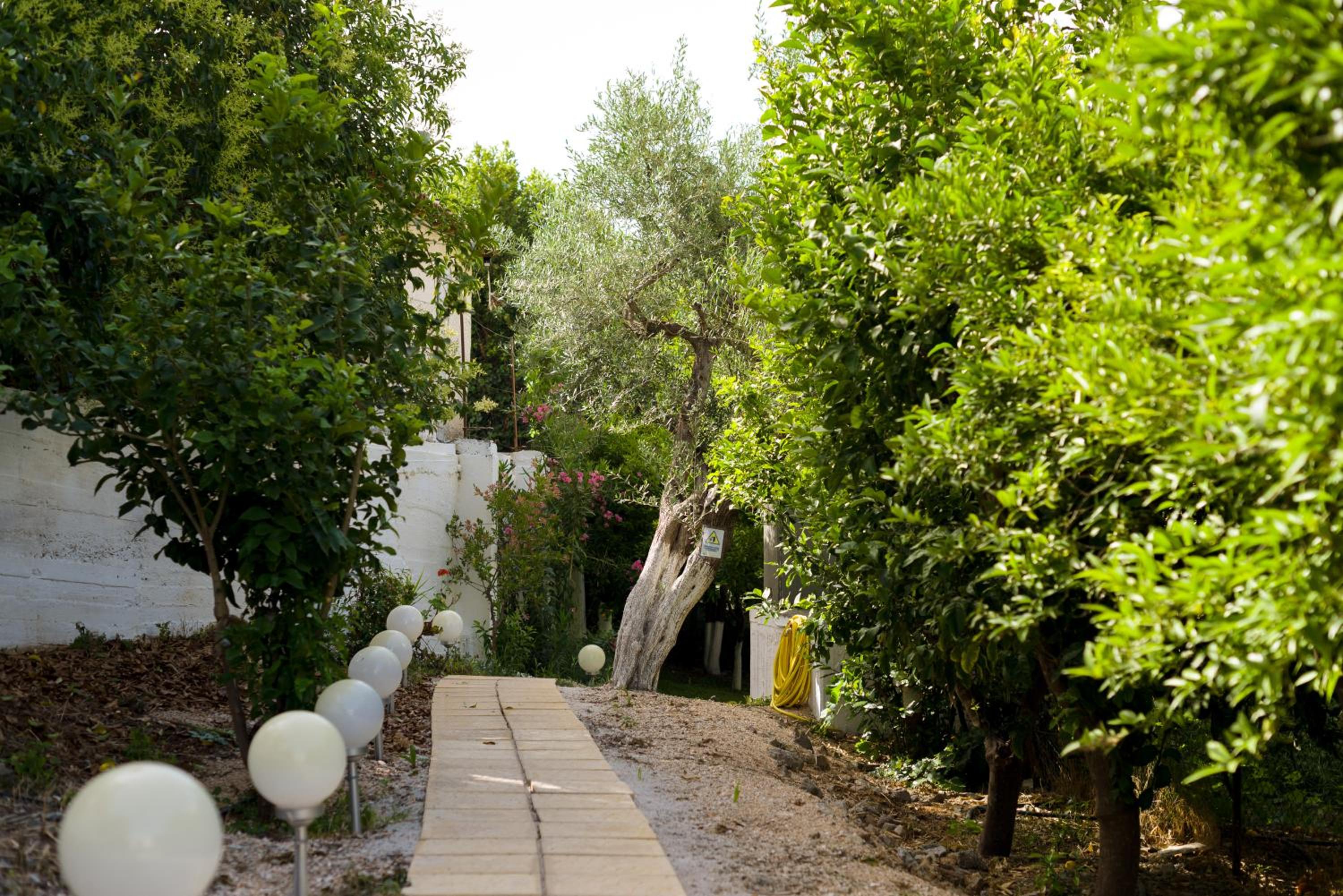 Oasis Home