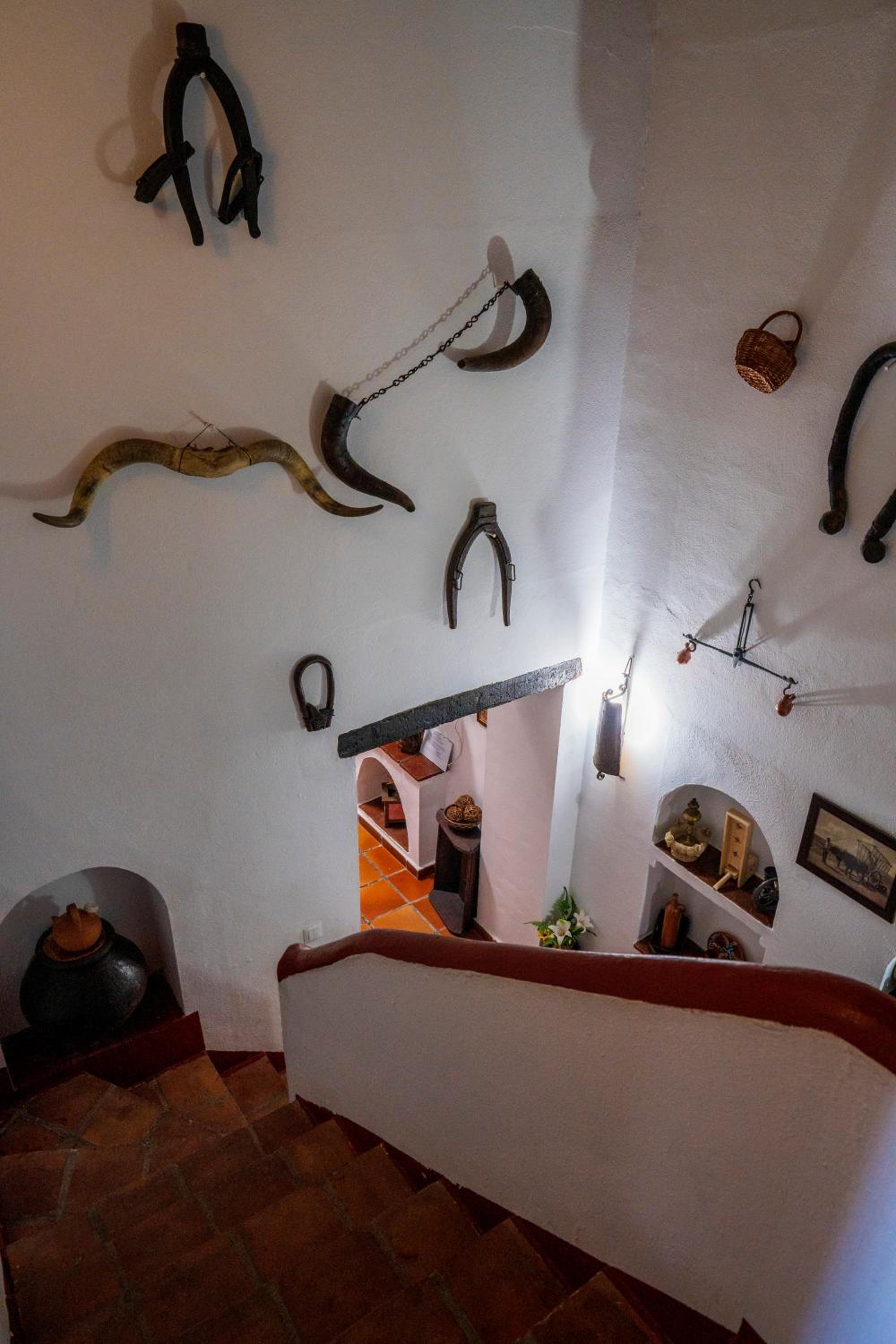 Finca Los Llanos