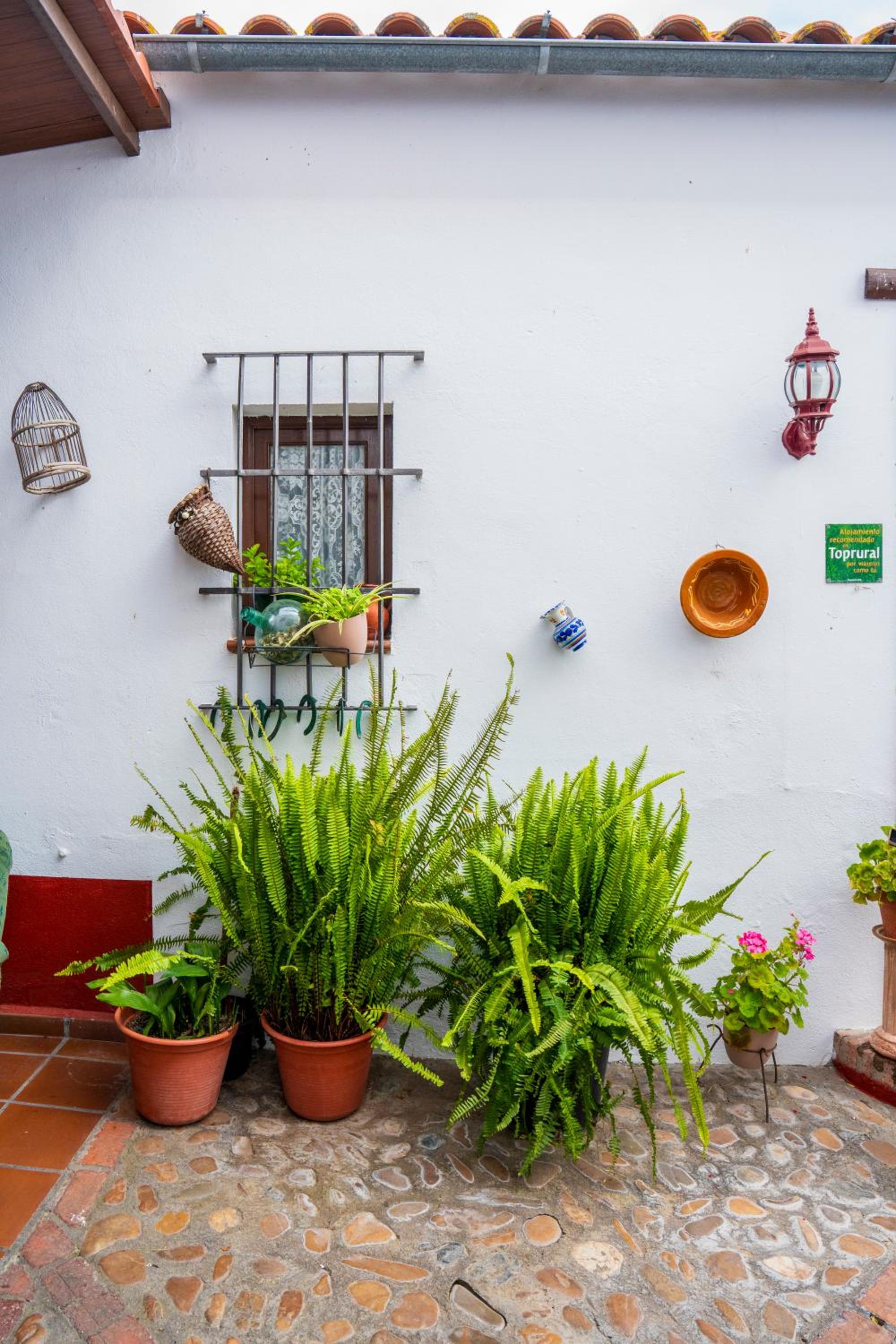 Finca Los Llanos