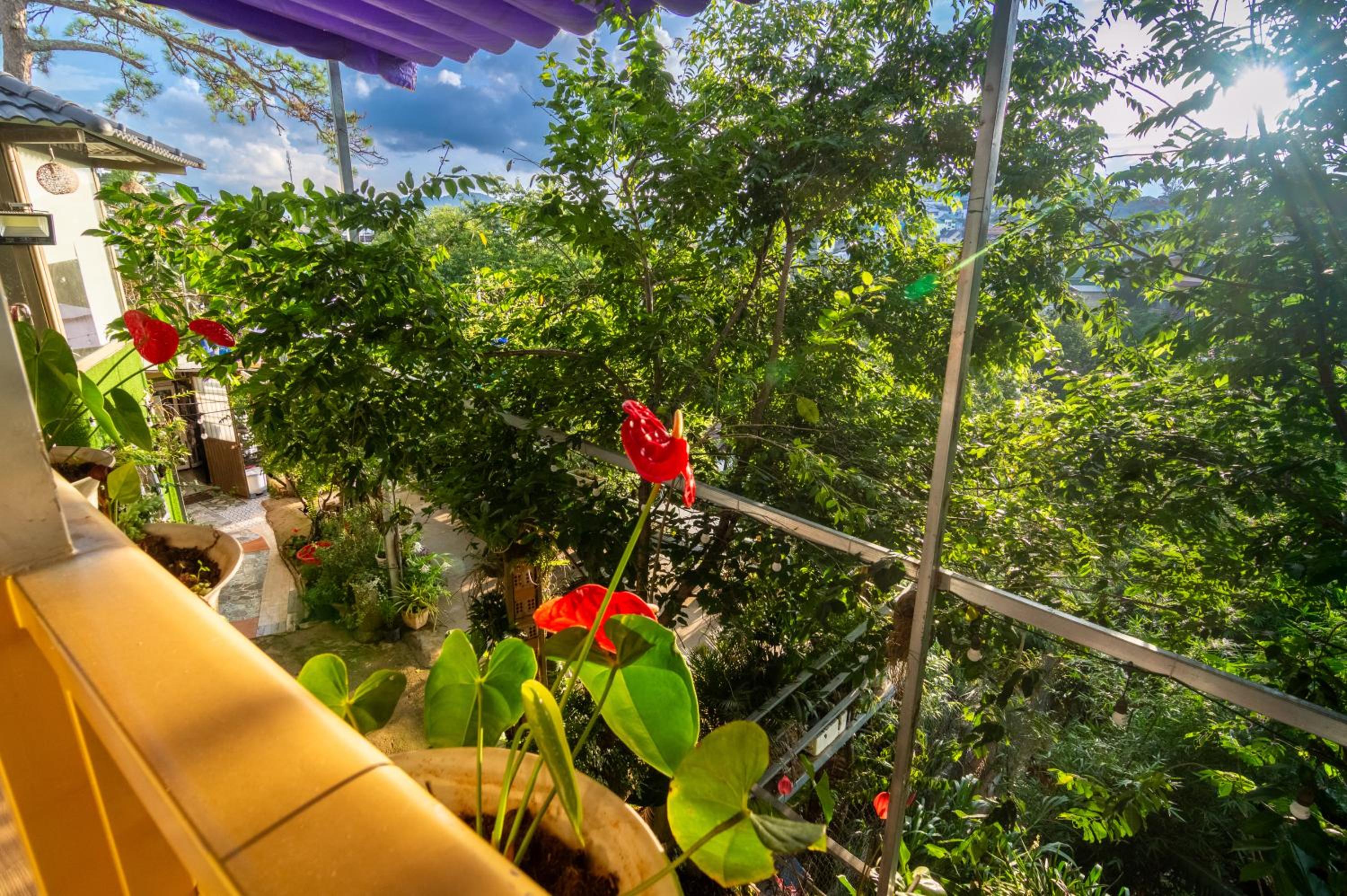 Robins Guesthouse