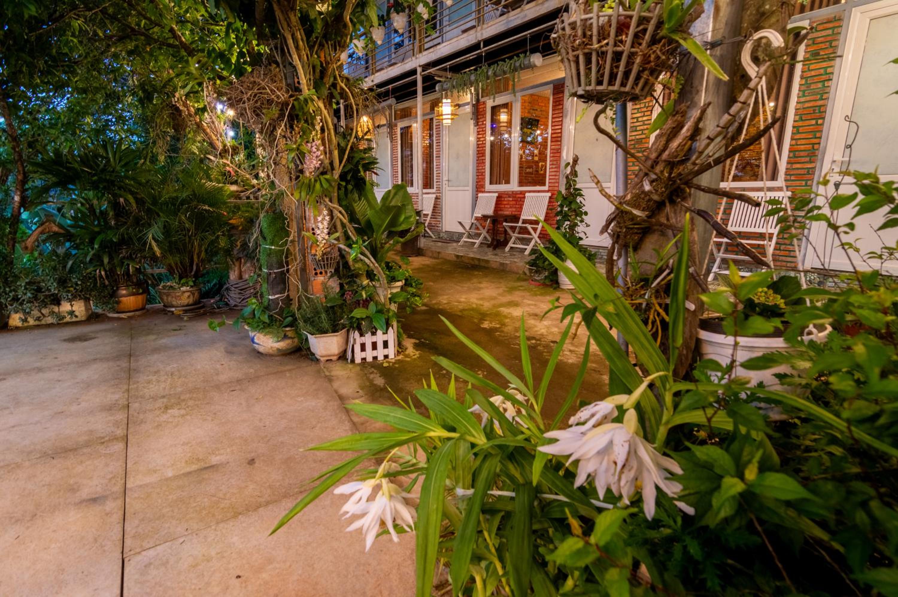 Robins Guesthouse