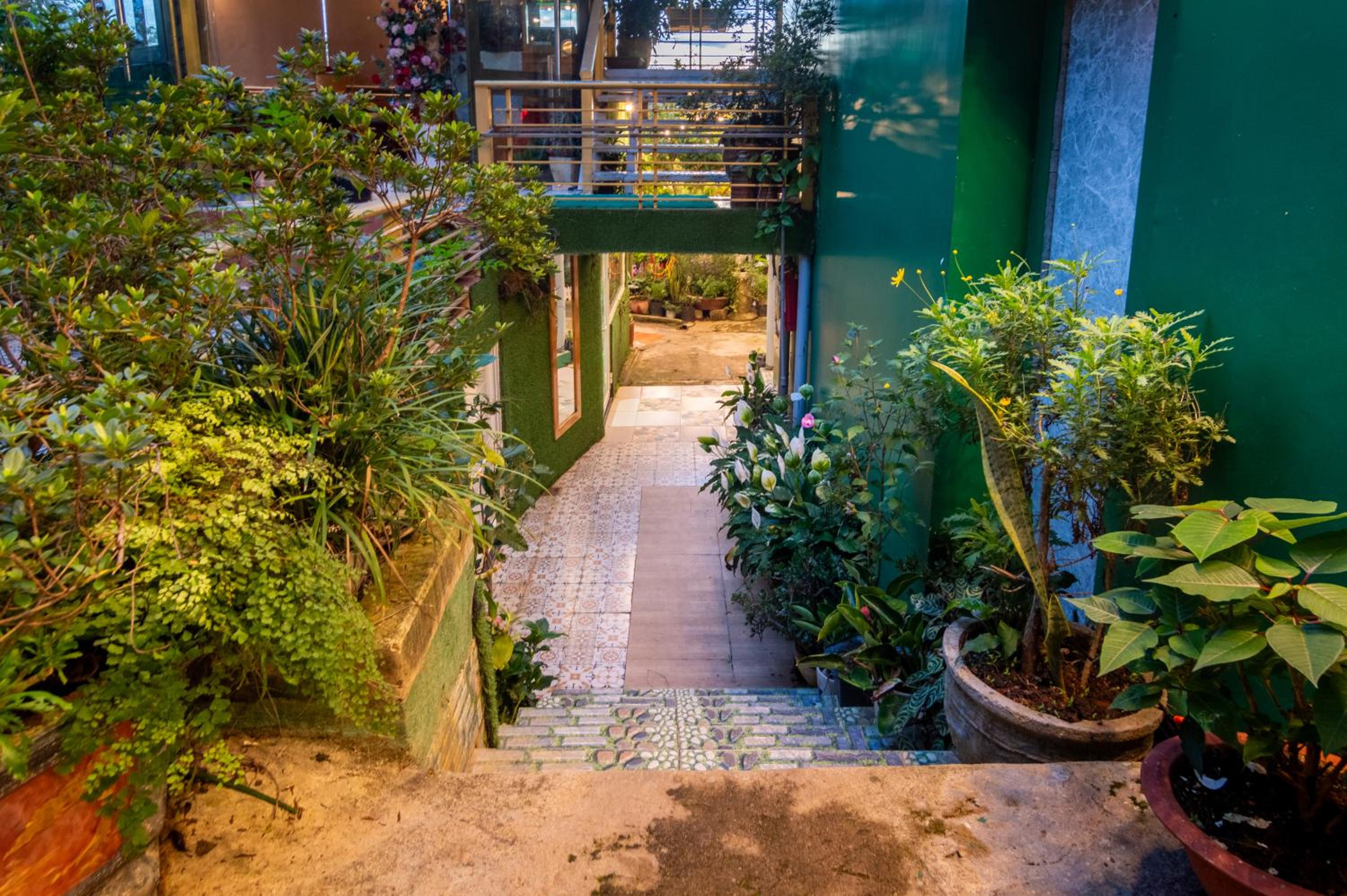 Robins Guesthouse