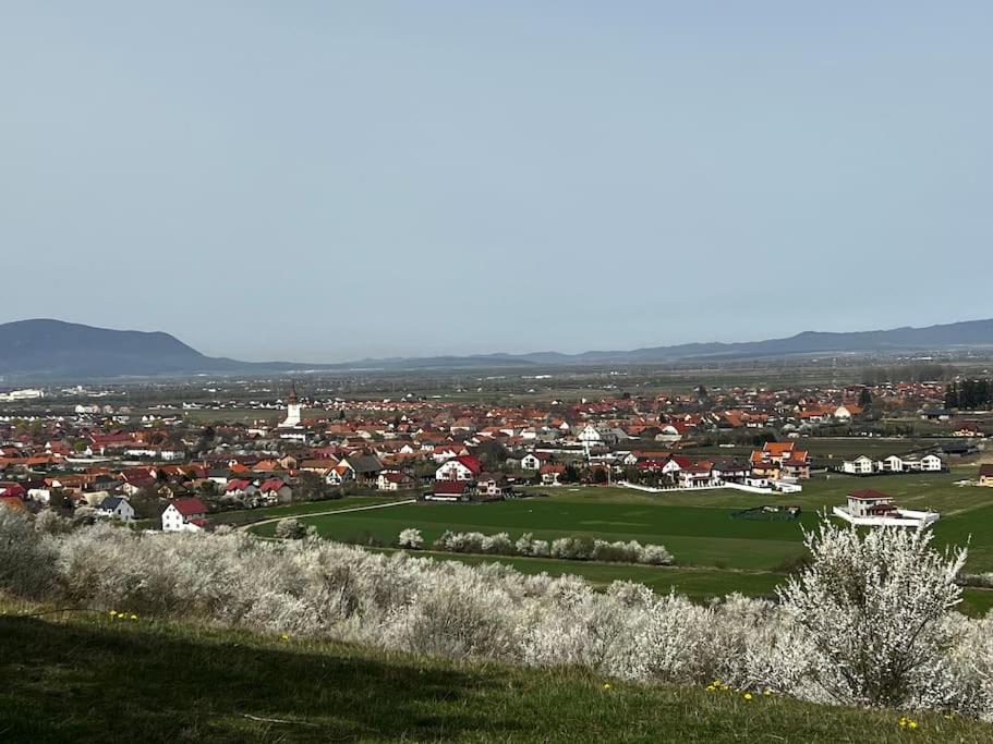 Pineview Lempes