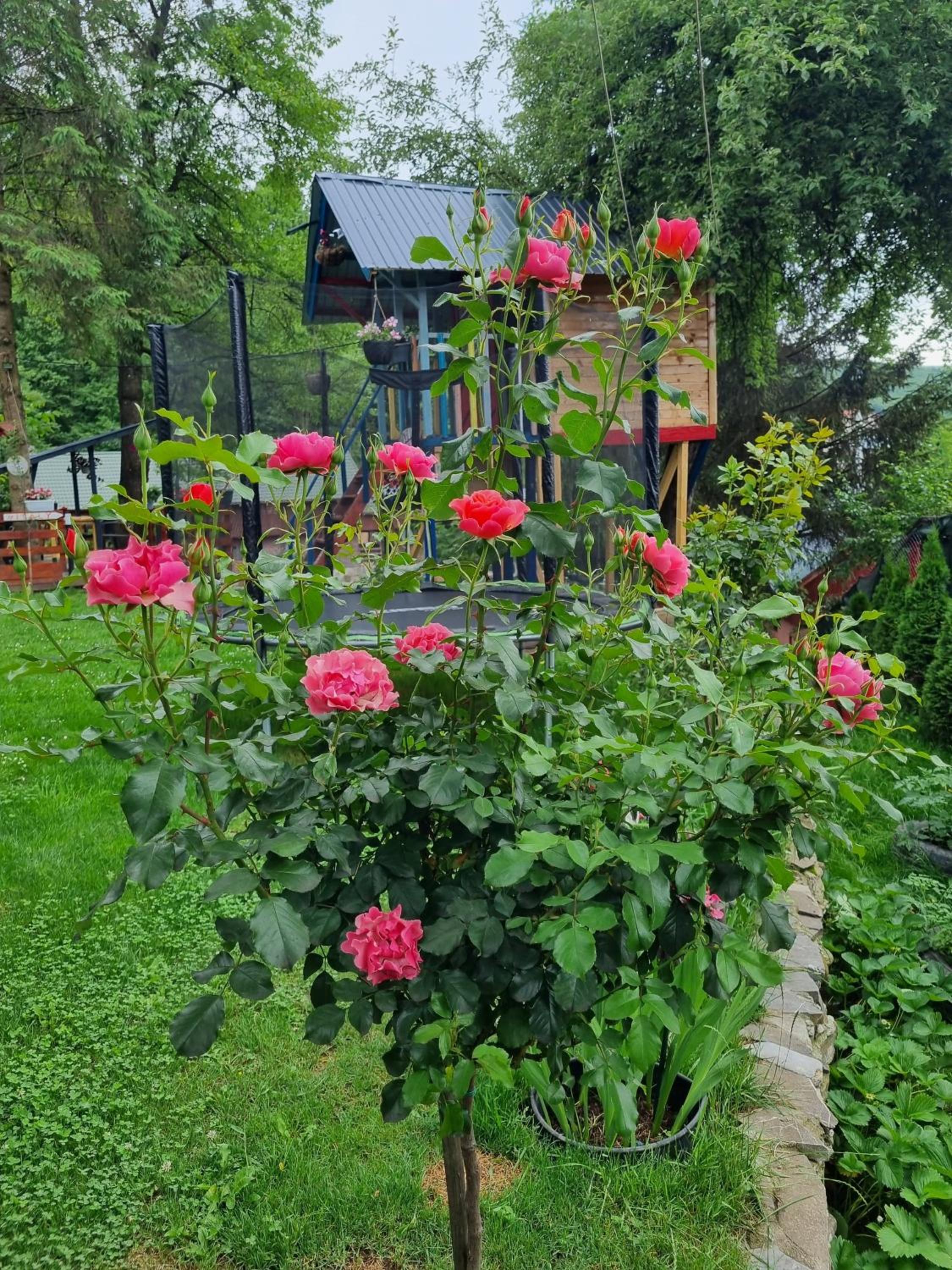 Photo 33