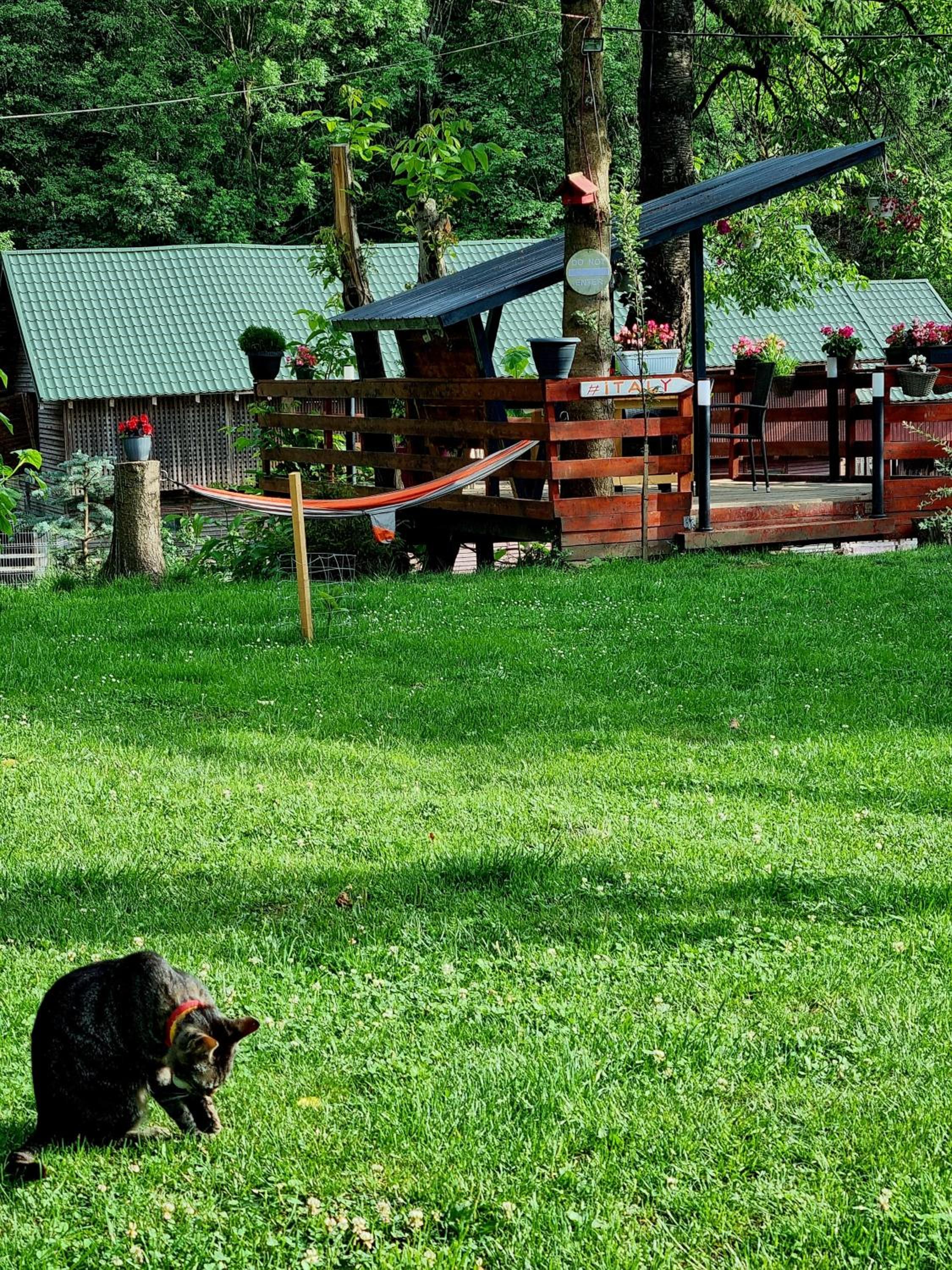 Photo 48