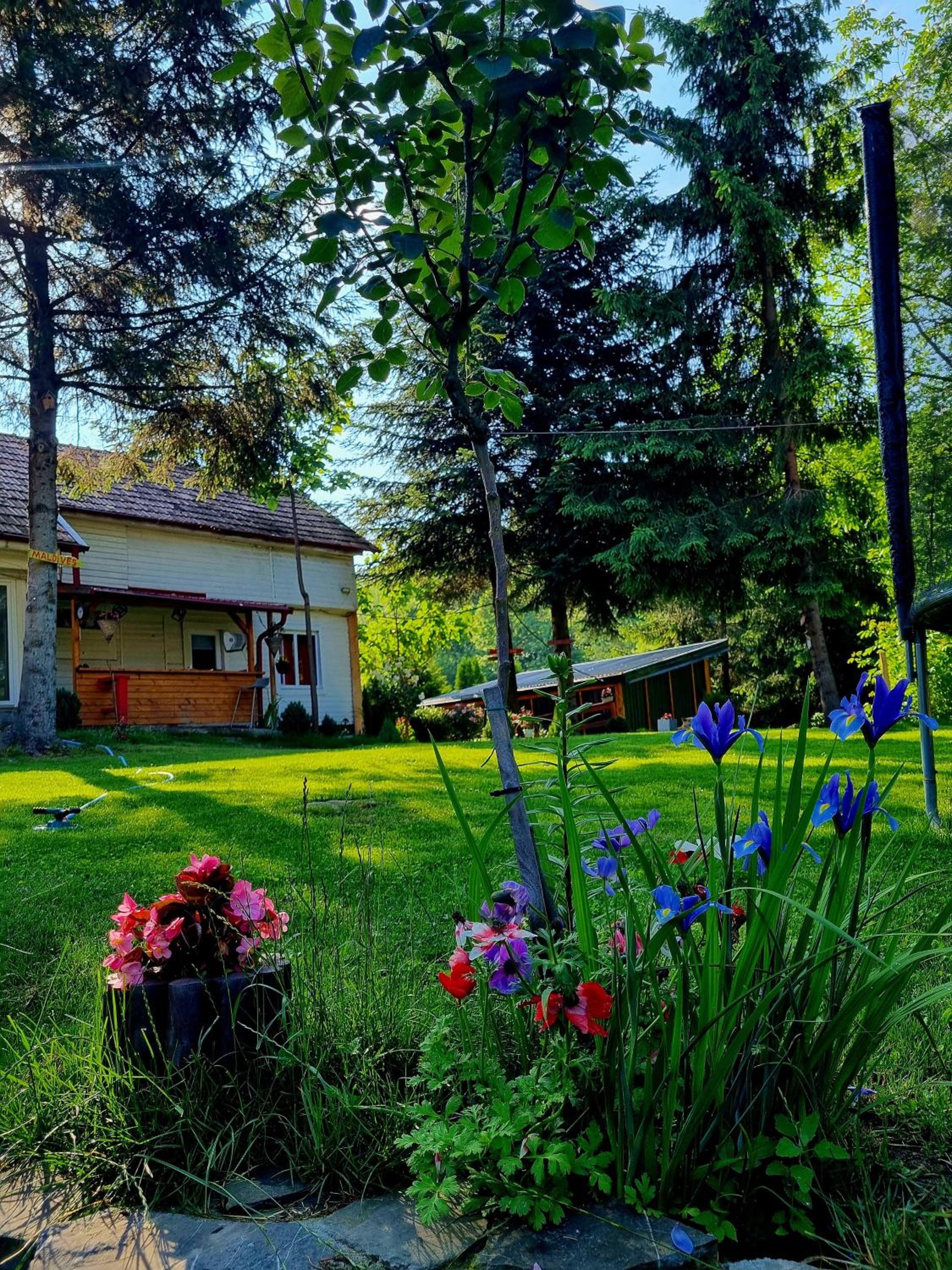 Photo 25