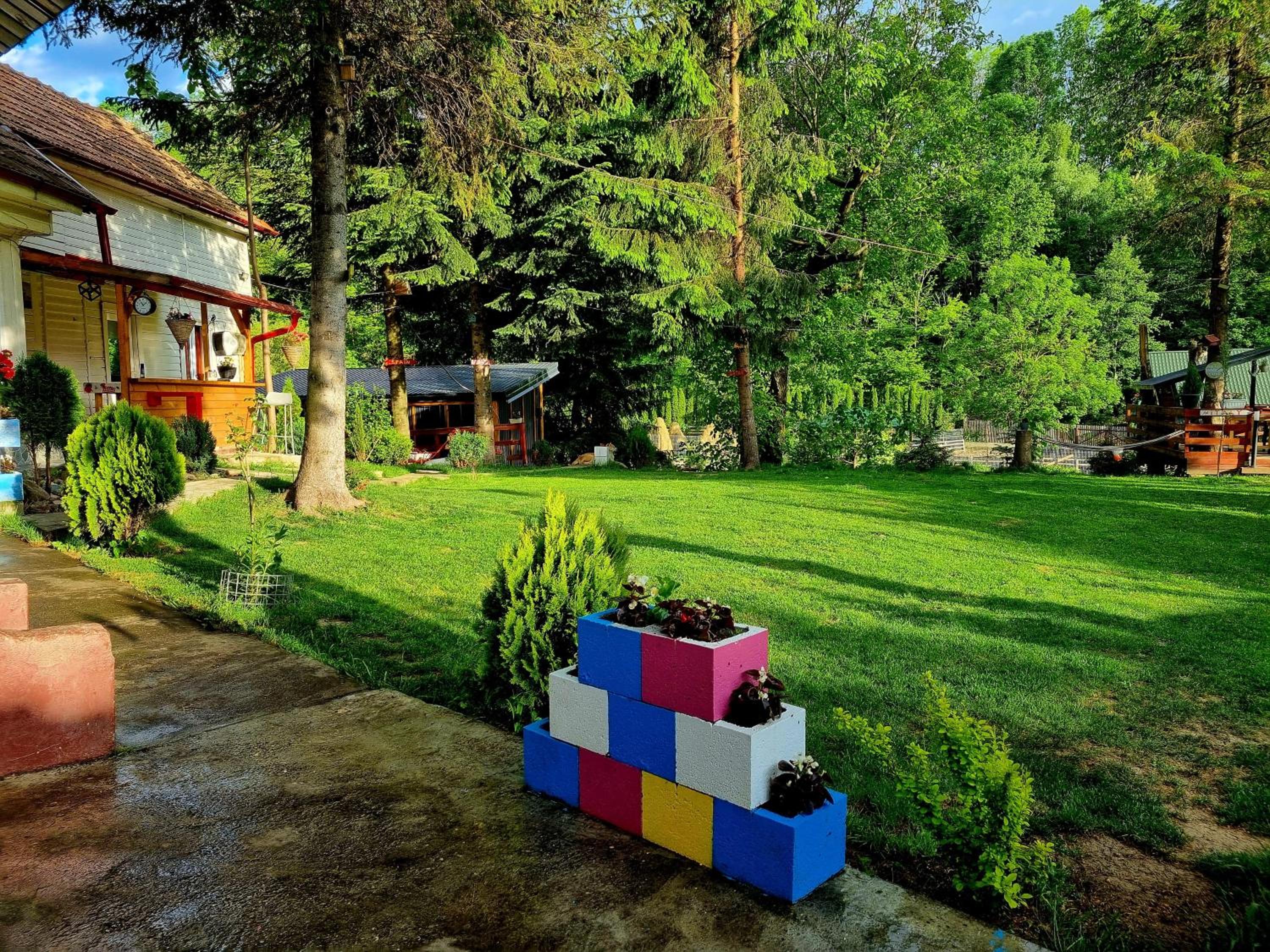 Photo 21