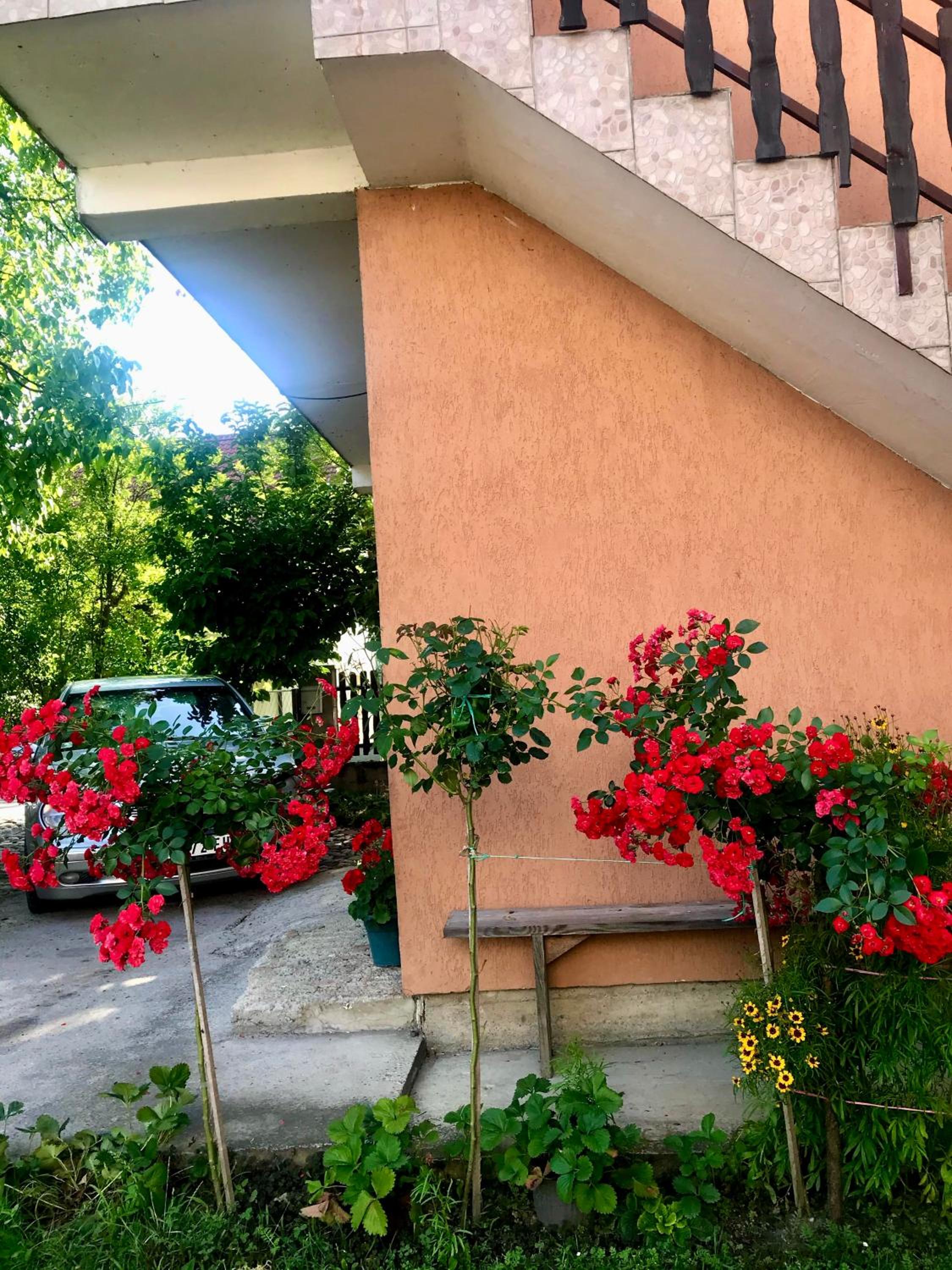Apartman Rosić