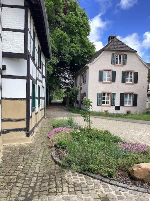 Eyes Ferienhaus im Nationalpark Eifel