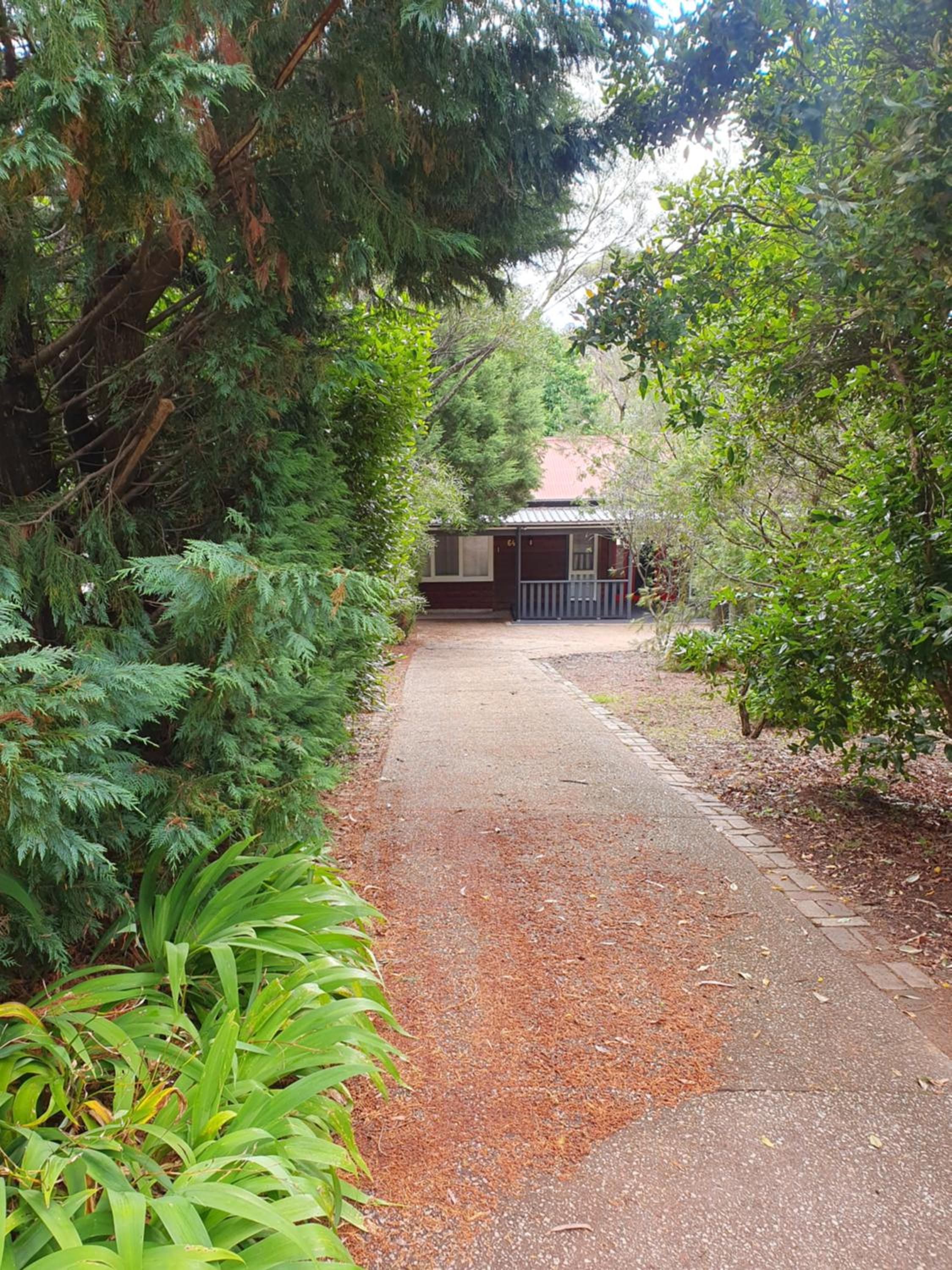 Rustic Queen of Leura