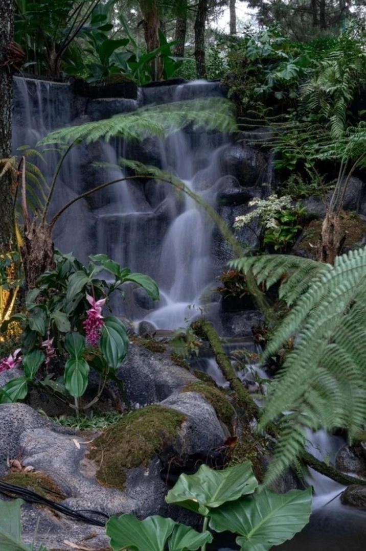 Taman Wisata Bougenville by Kozystay view 5