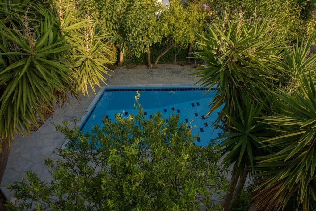 Villa Sofia view 5