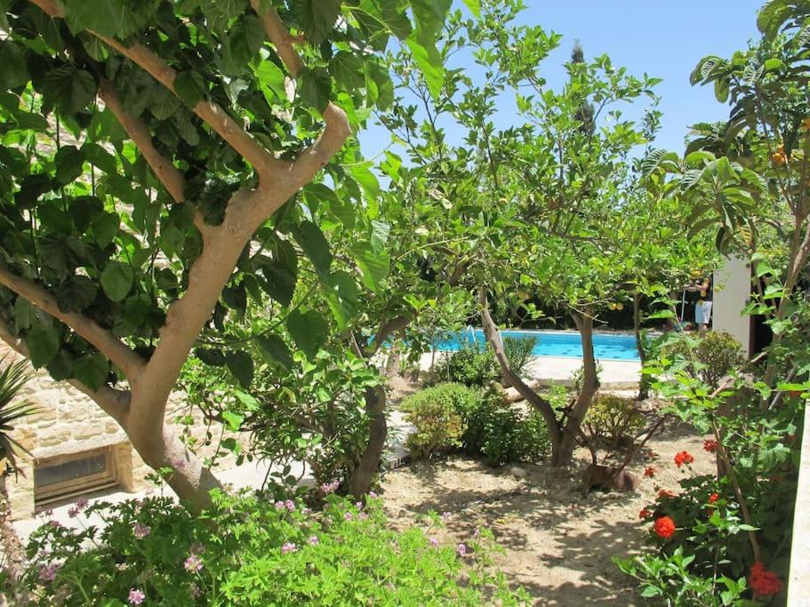 Villa Sofia view 3